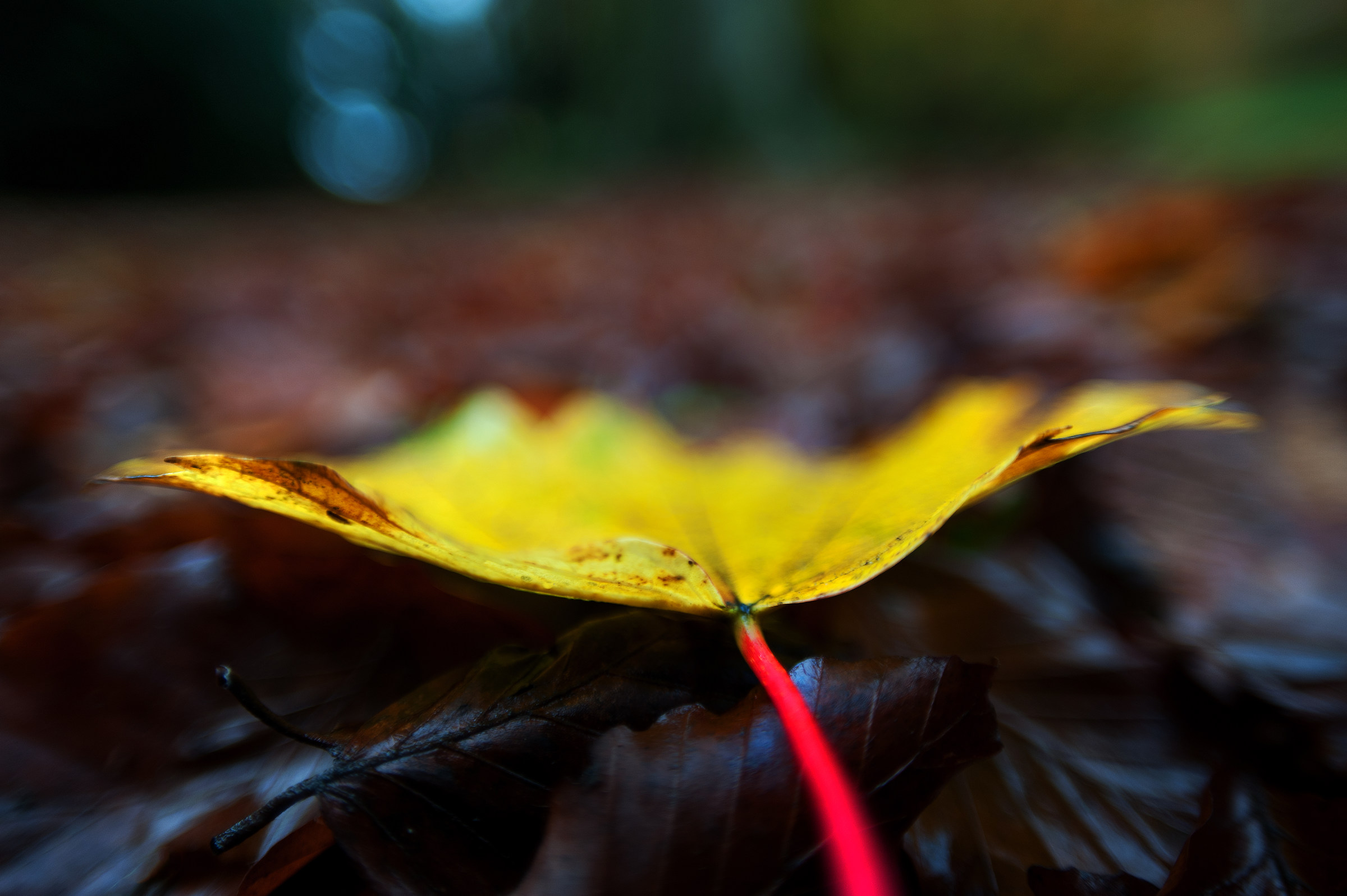 How Low Can You Get ? - 2