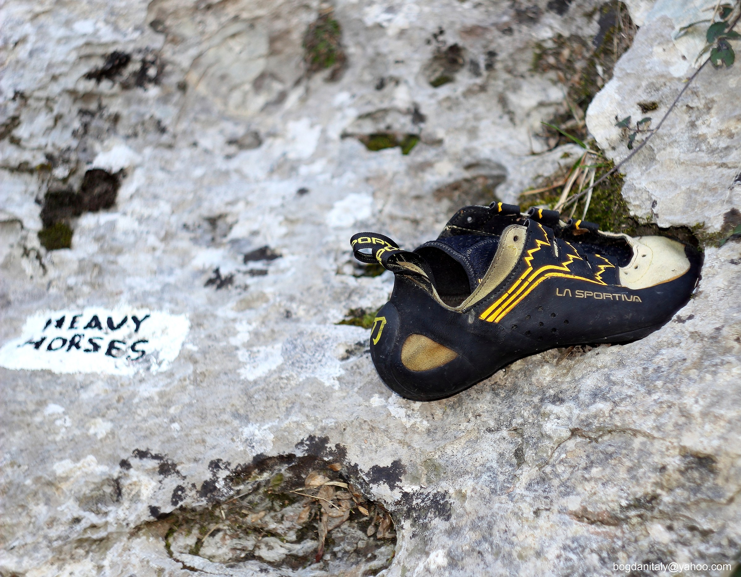 Heavy Horses ,Alpi Apuane