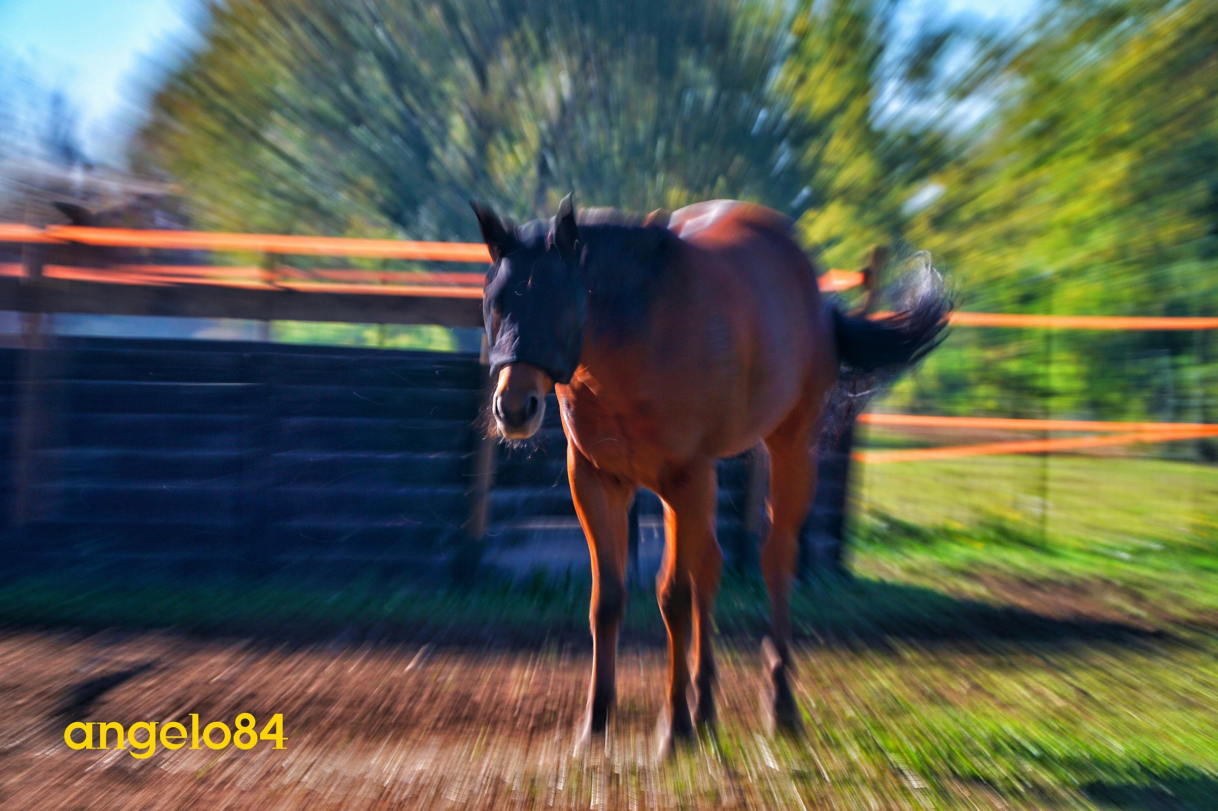 Giunino e lo zooming