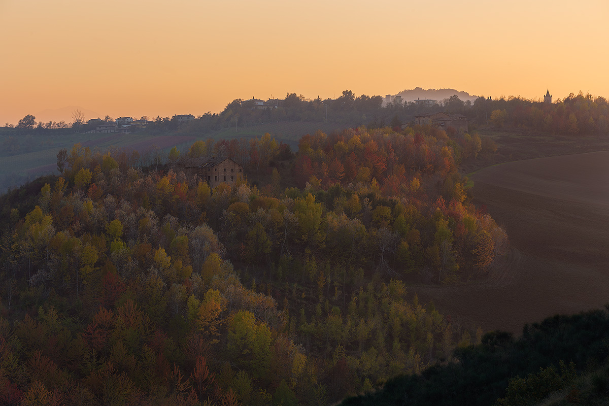 Il mio boschetto preferito