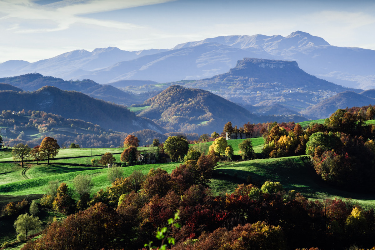 The Stone and the Elder