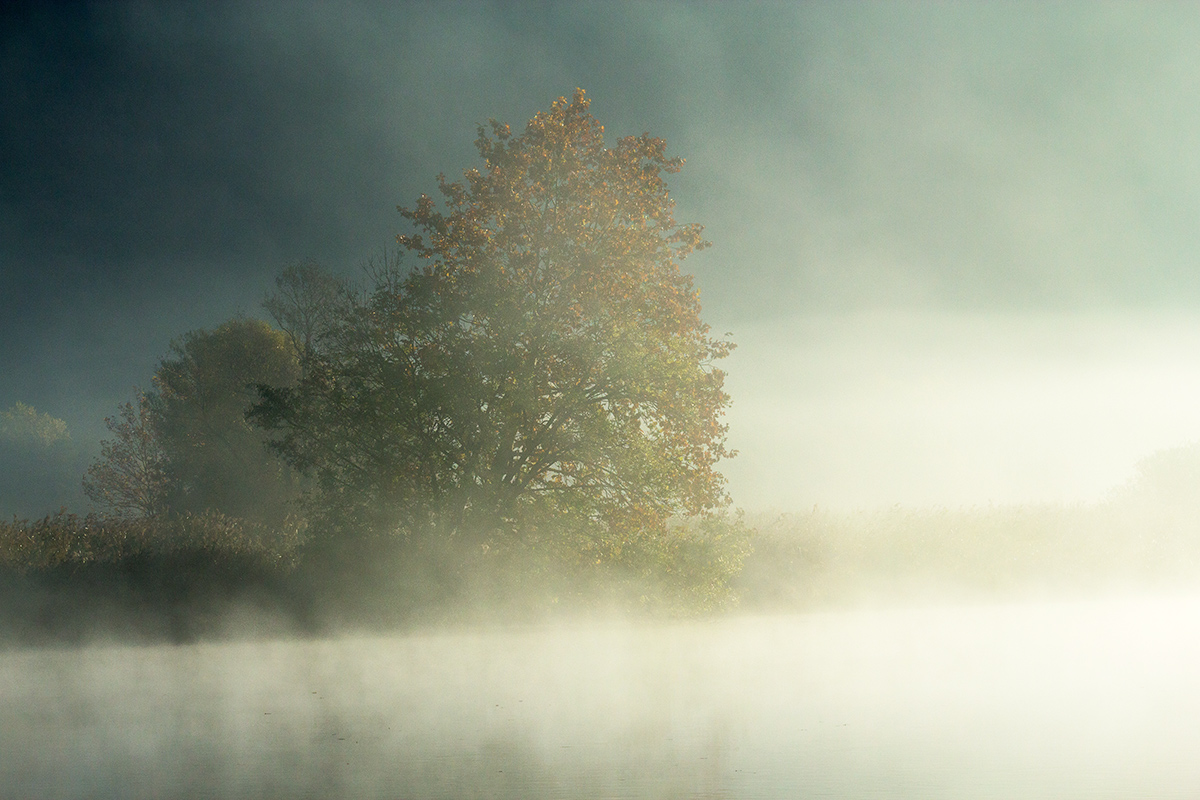 Quello che il fiume nasconde