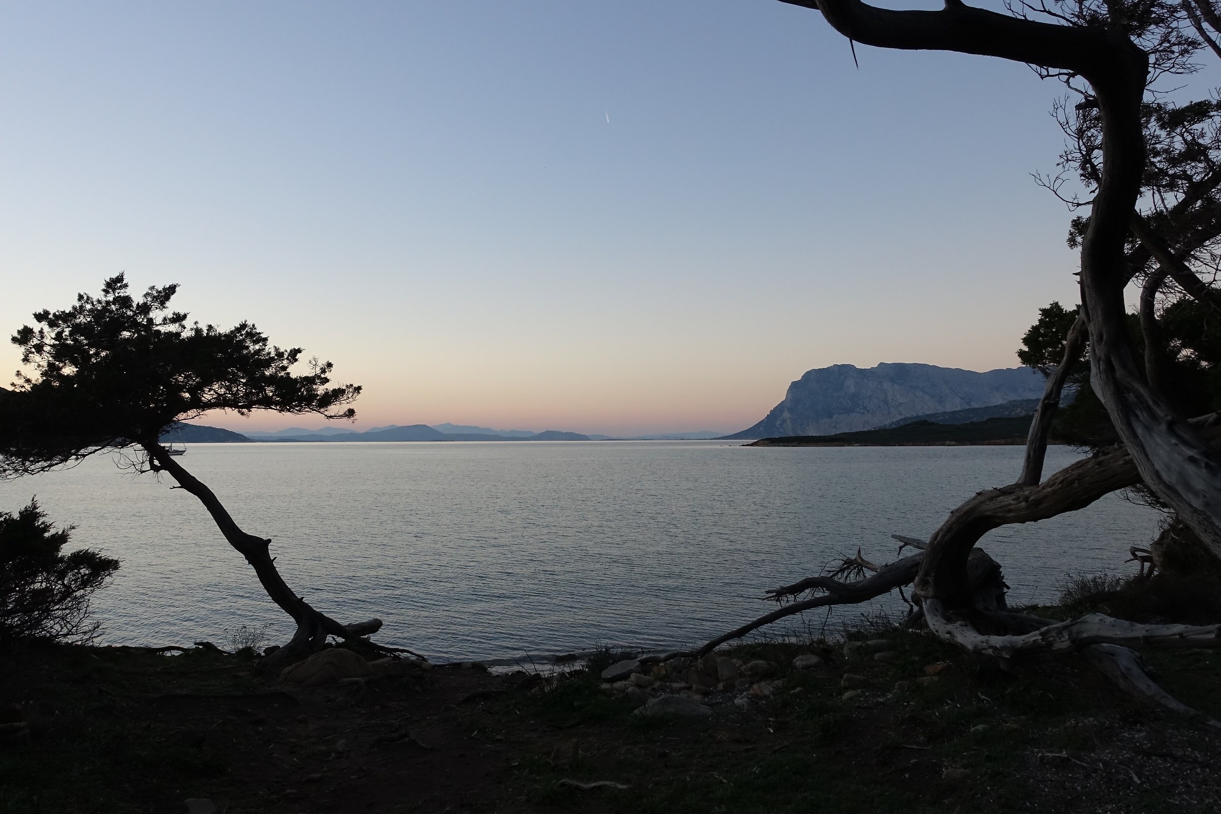 tramonto tra i ginepri di Coda Cavallo