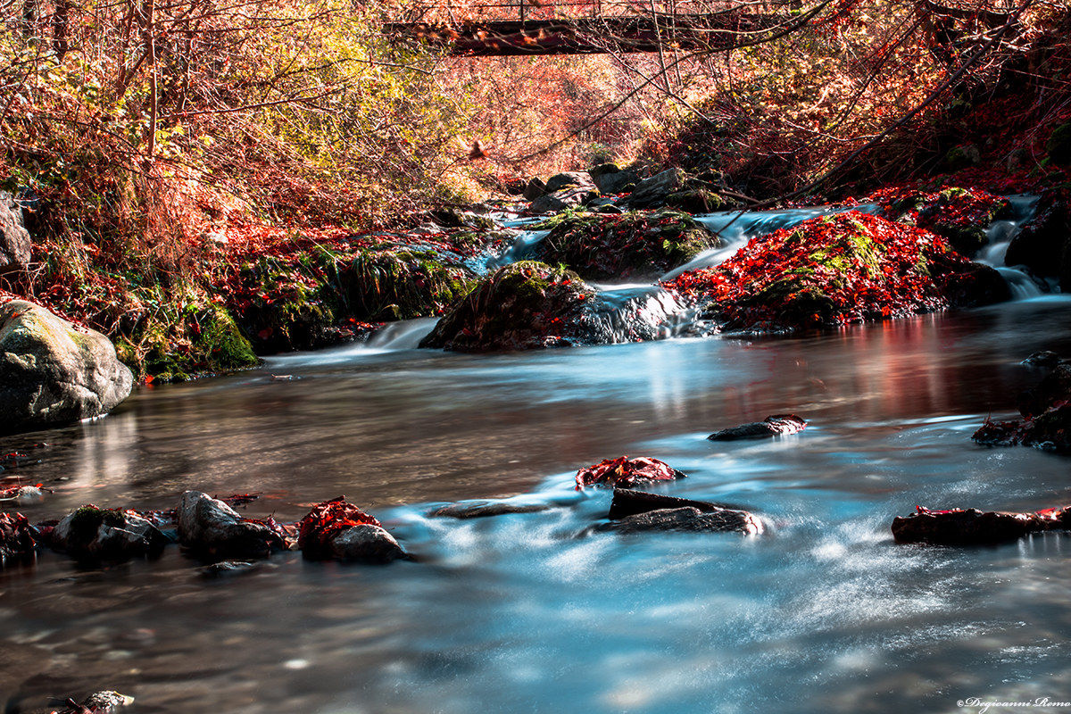 Torrente d'autunno