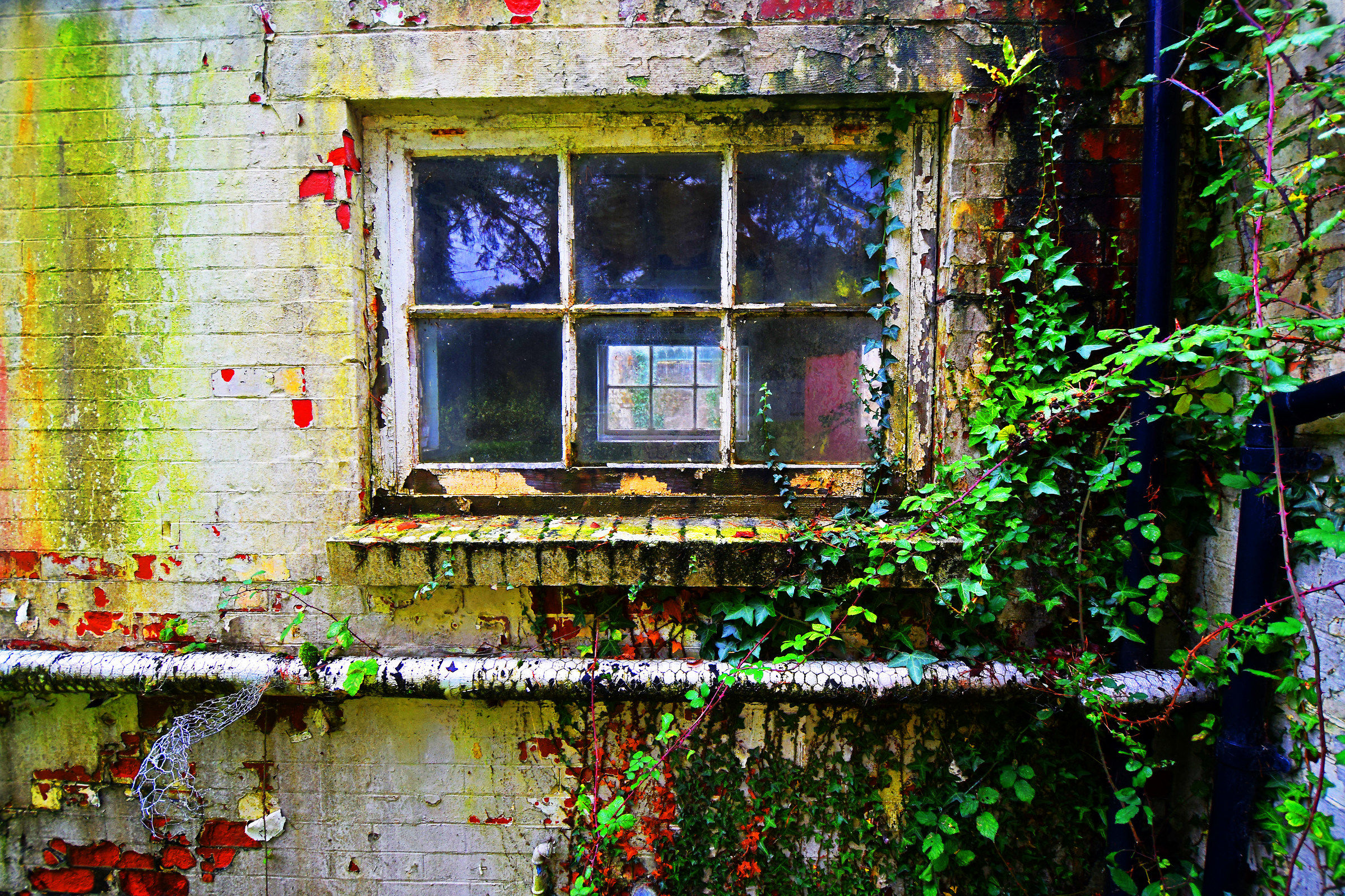 Dereliction - saturi!