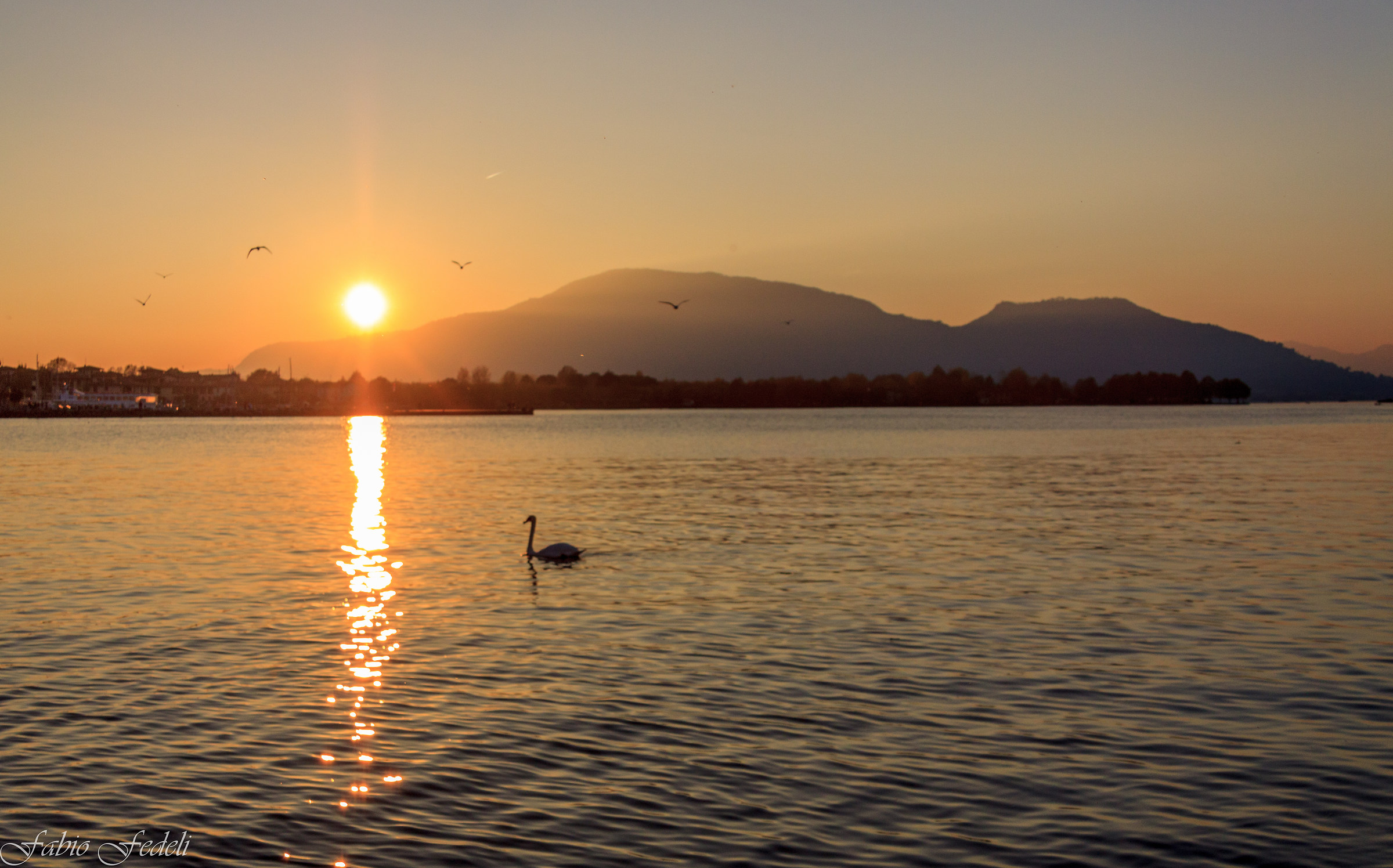 Tramonto col cigno