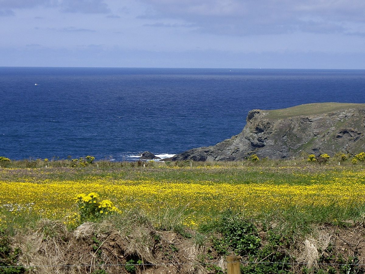 Scogliere vicino a Tintagel (Cornovaglia)