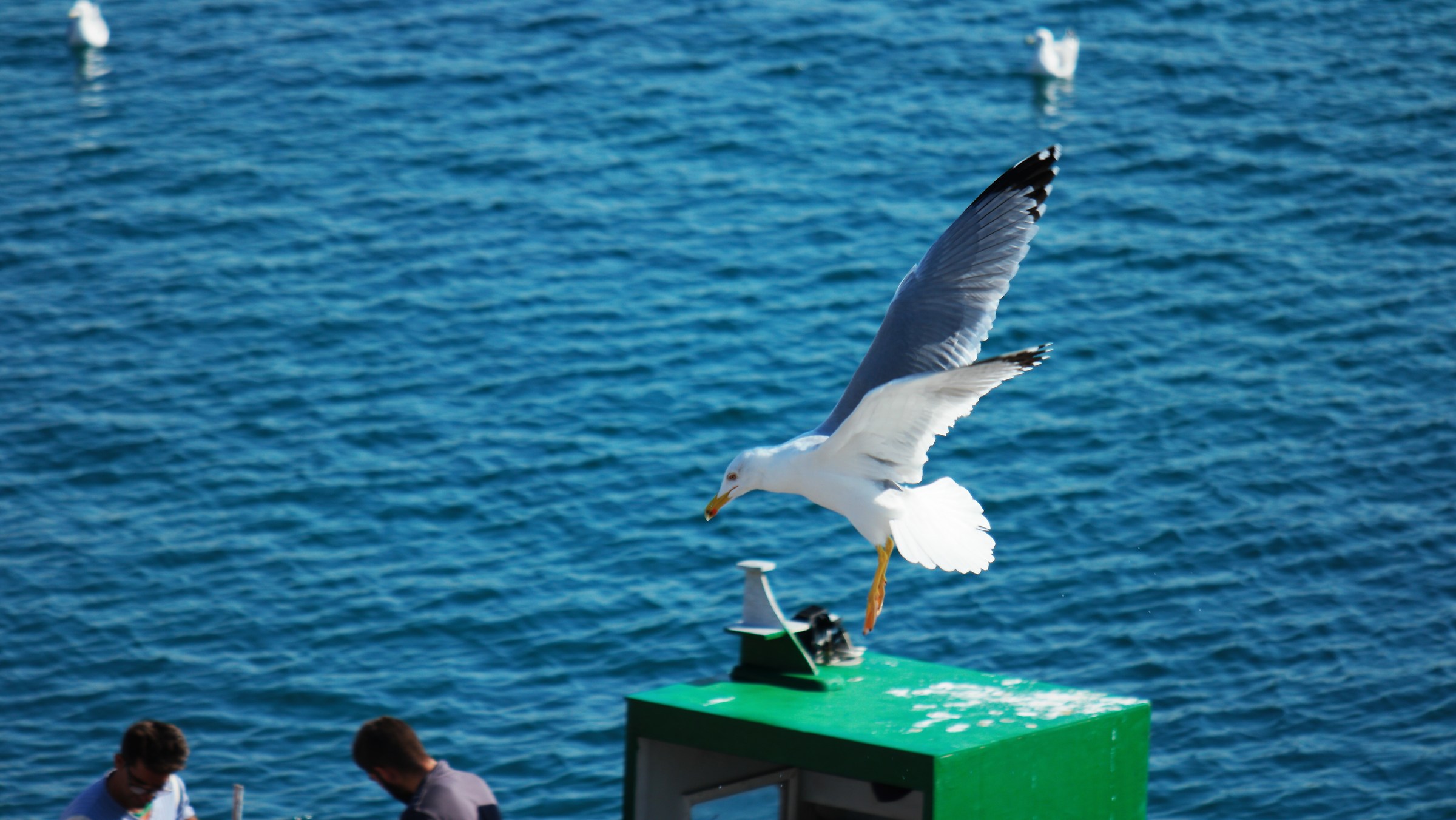 I take it on the fly