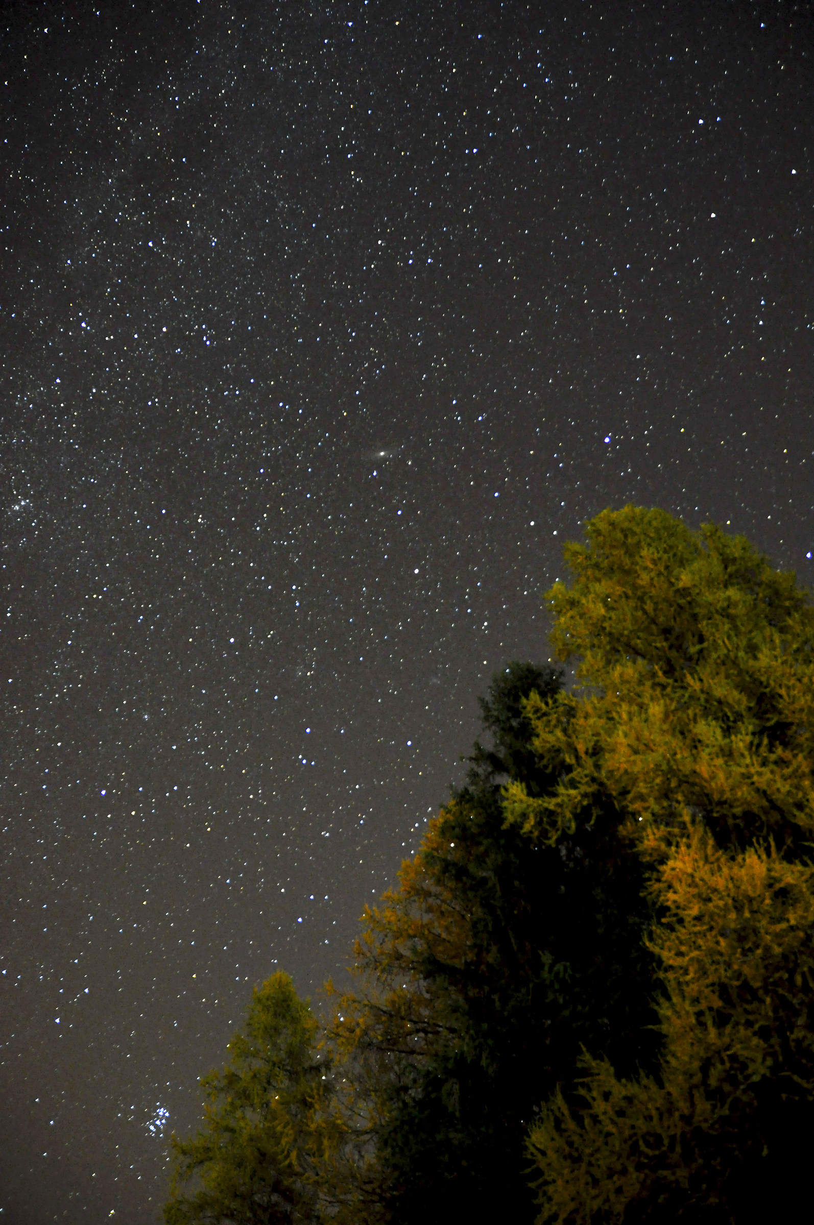 Starry outside house