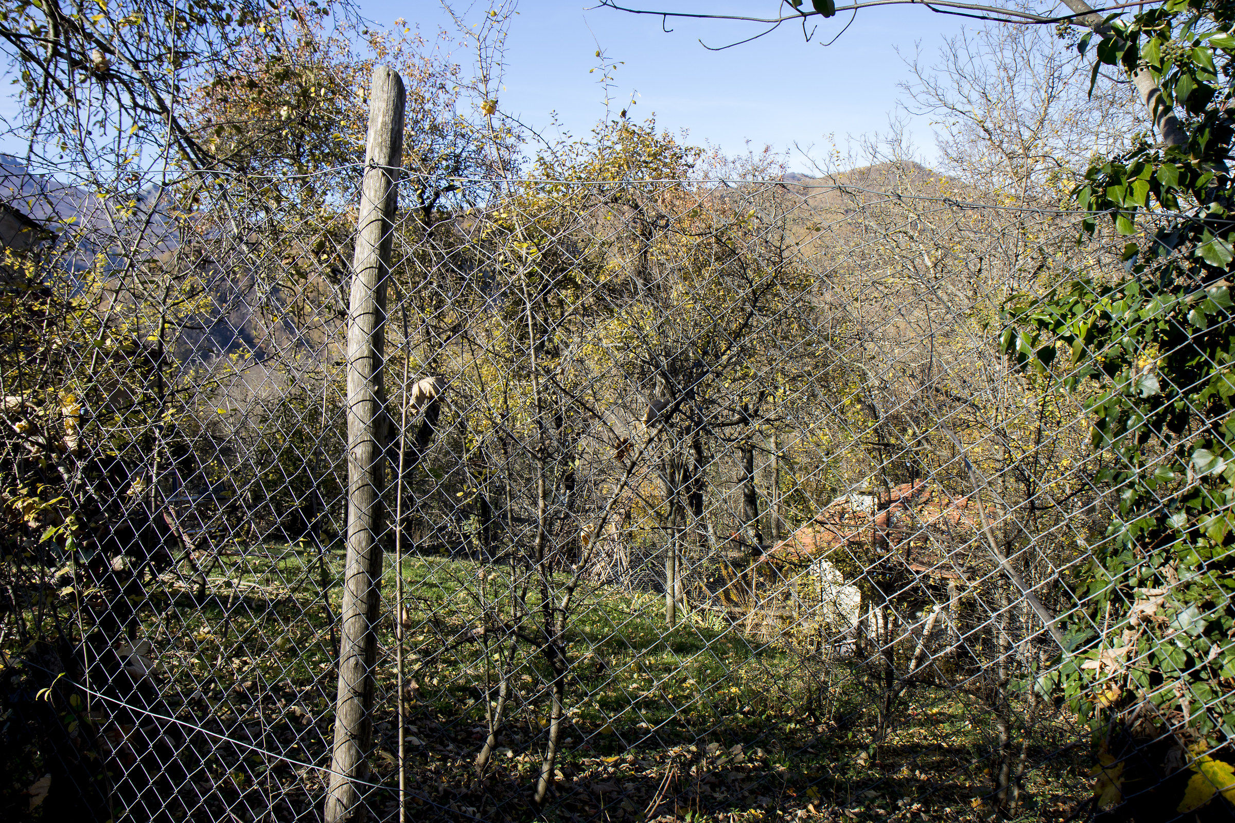 s summer. Martino in Val Taro
