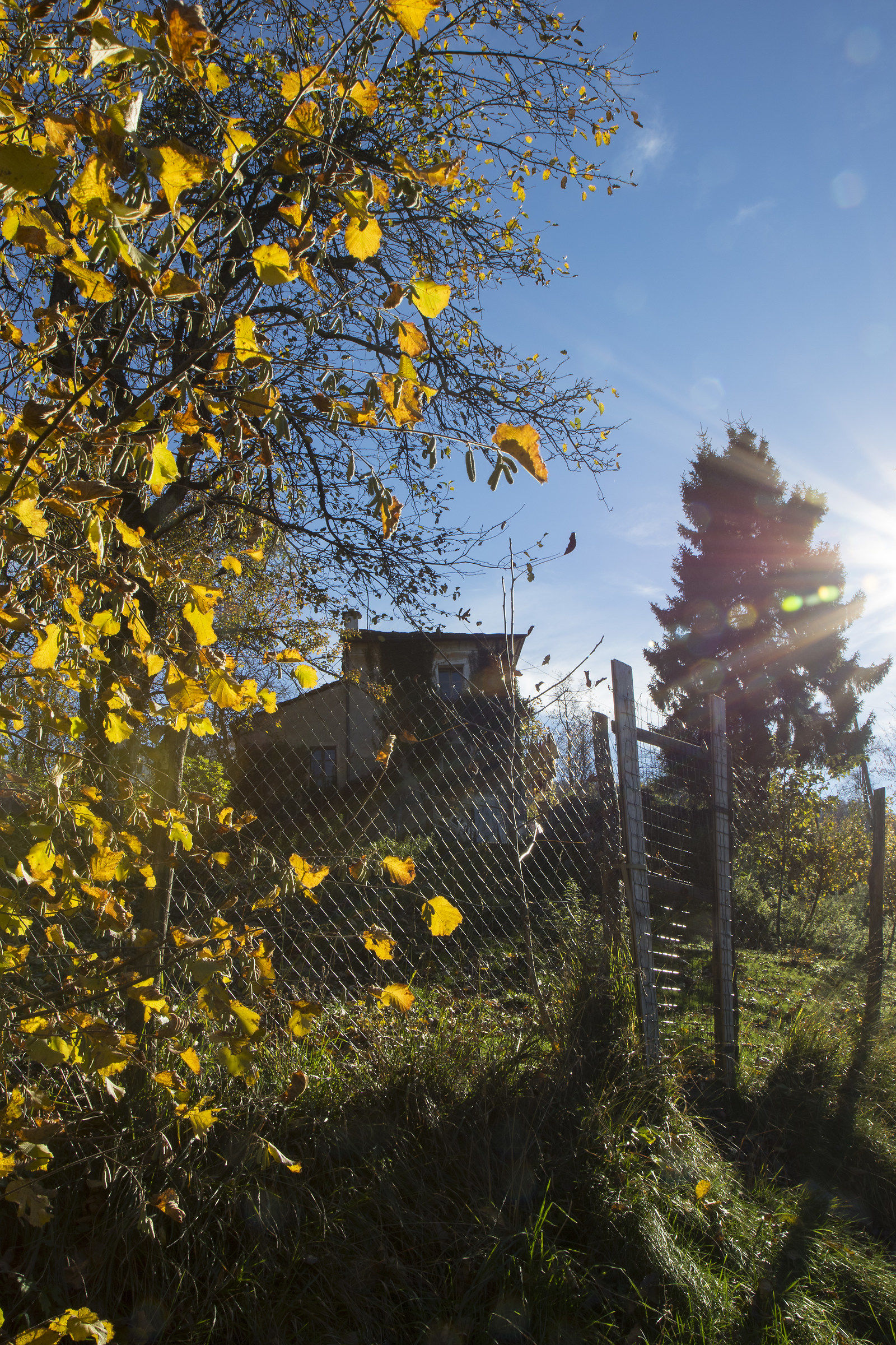 s summer. Martino in Val Taro