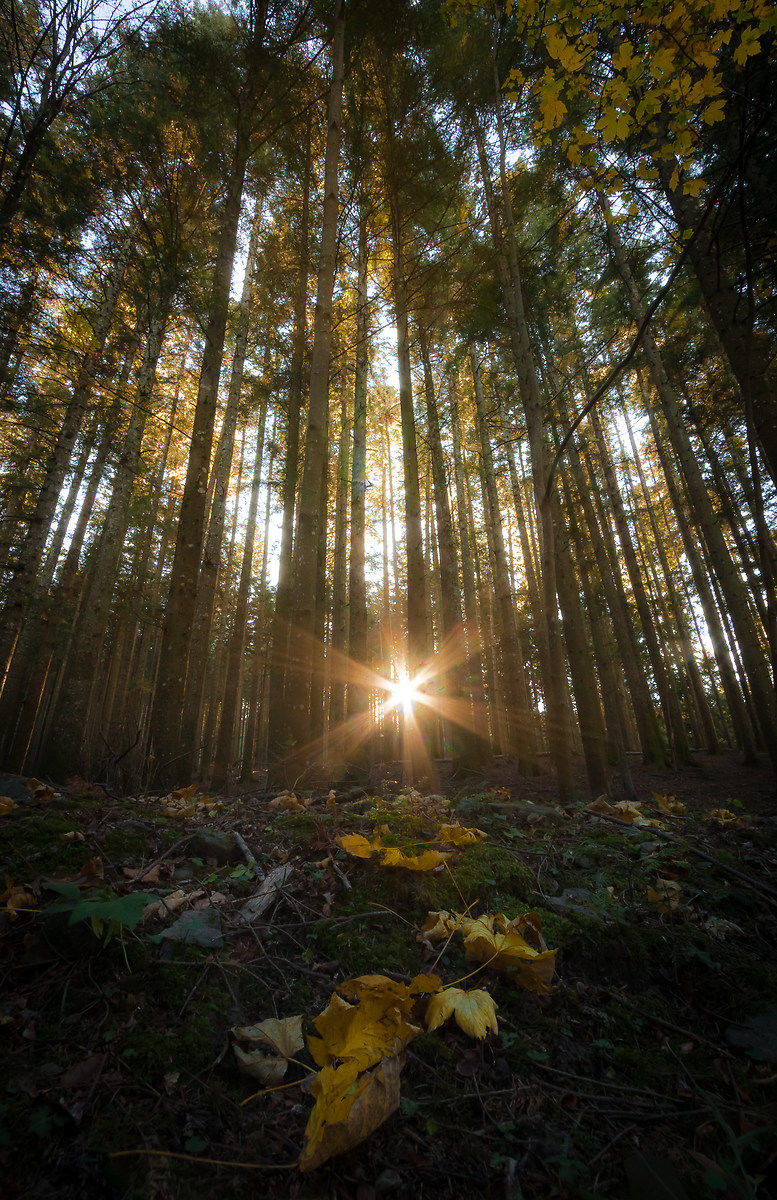 Un ultimo soffio di luce