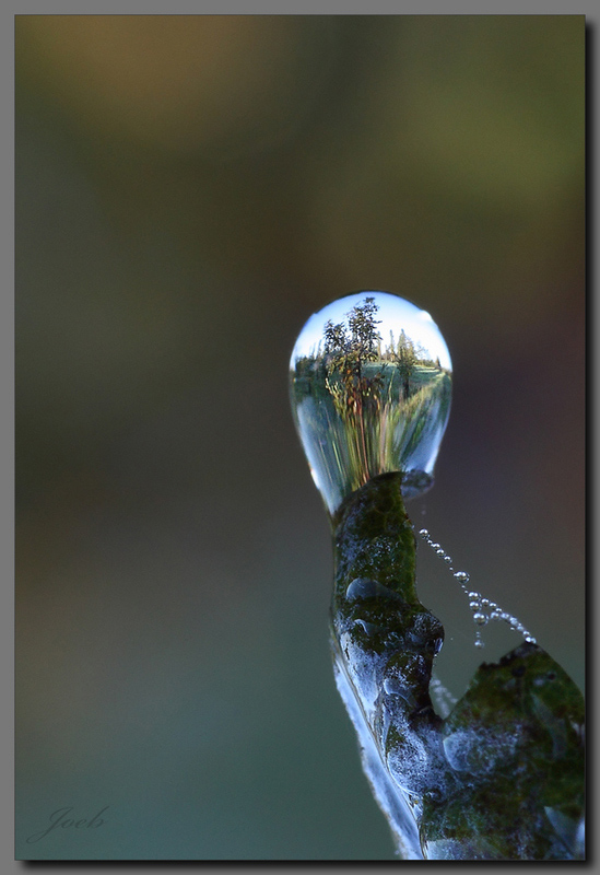 Where there is water there is life!