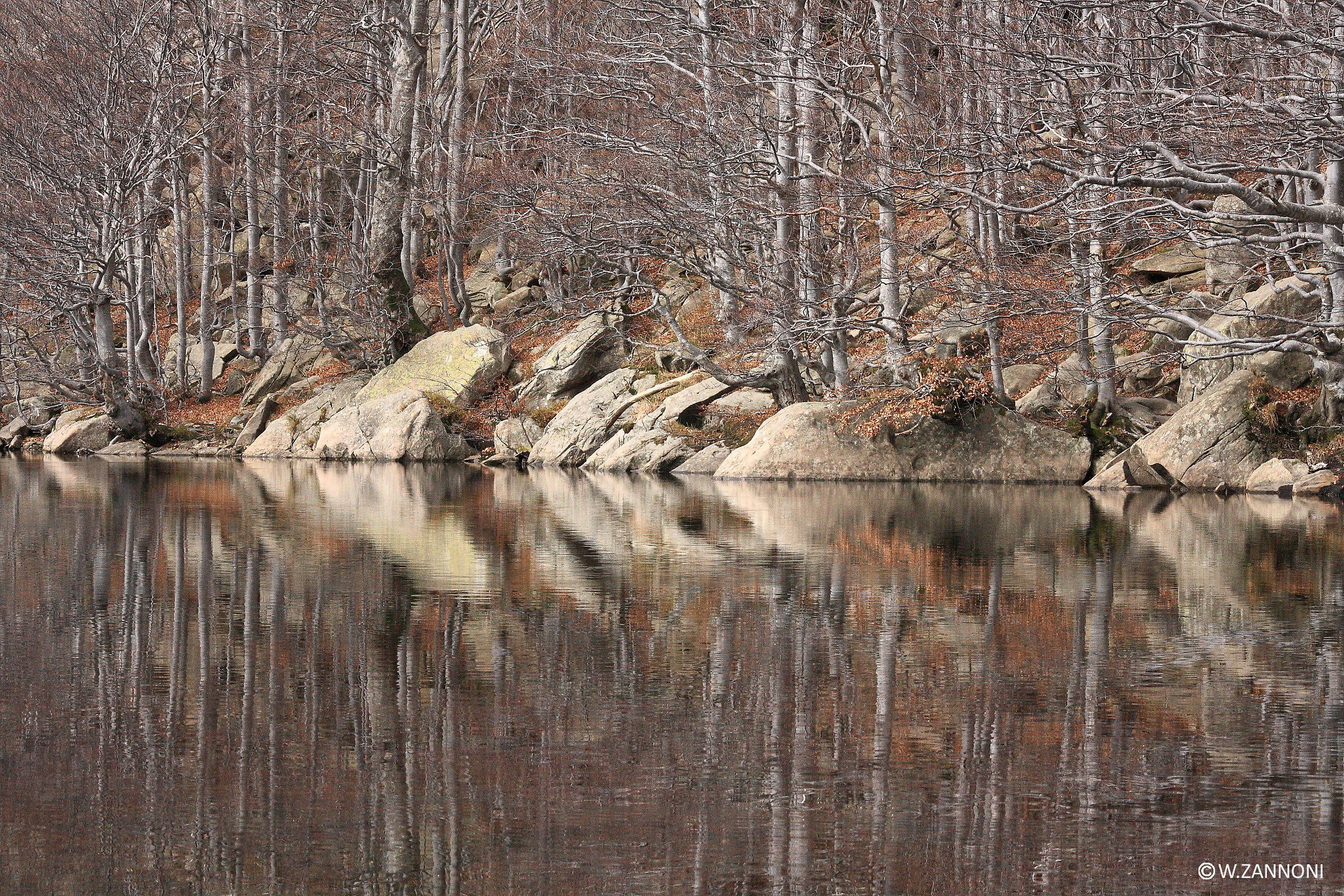 Riflessi d'autunno 2