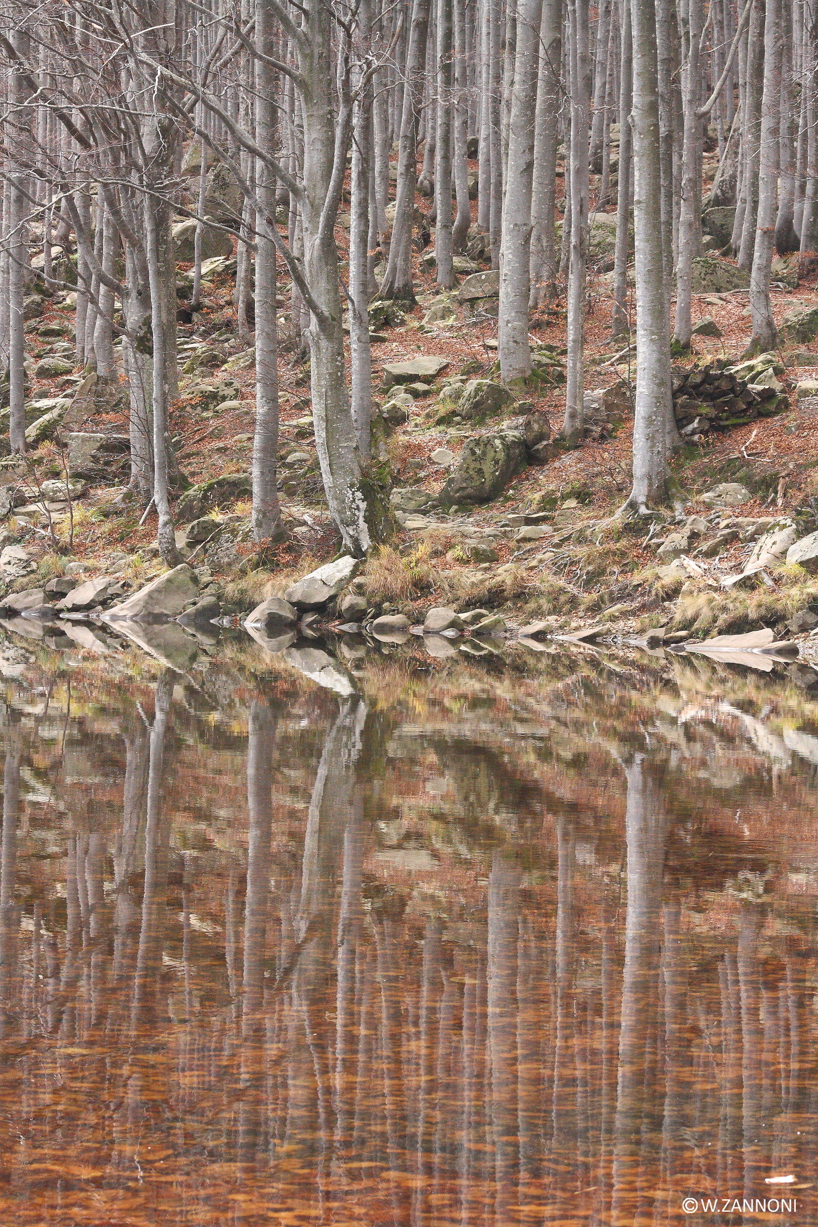 Riflessi d'autunno 3