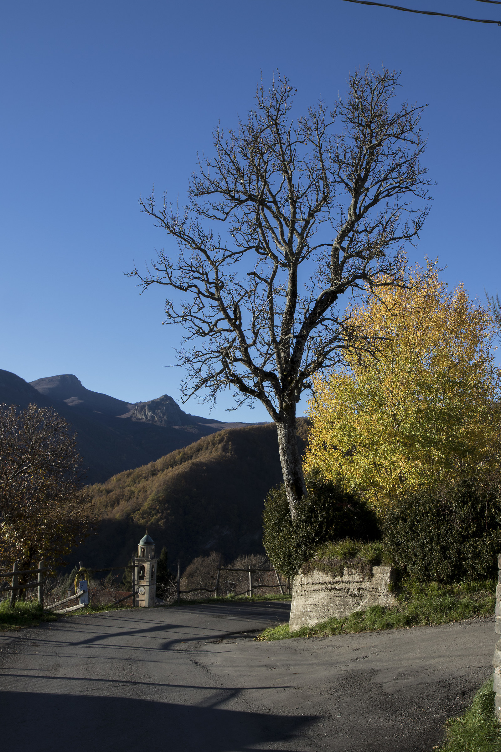 estate di s. martino in val taro