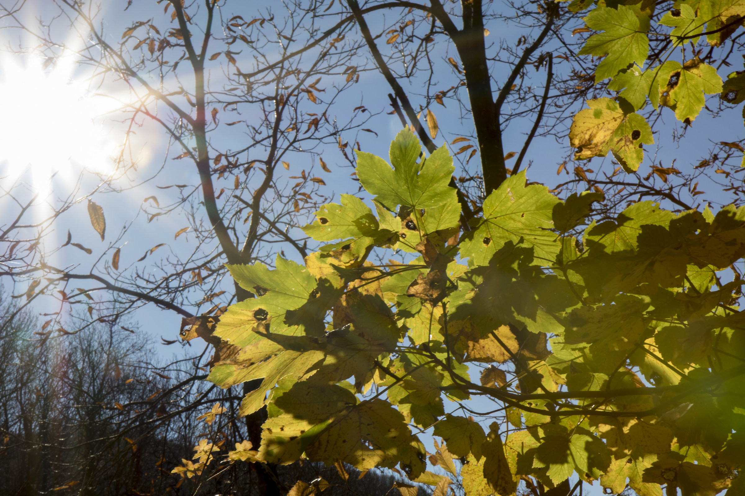 s summer. Martino in Val Taro