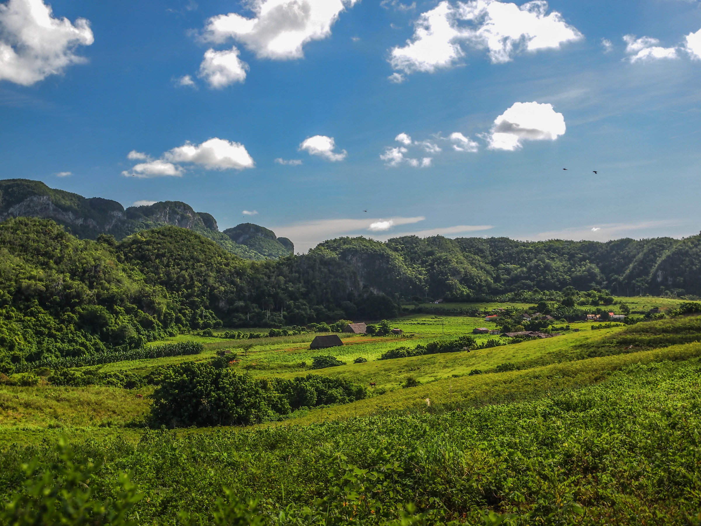 Vinales Valley