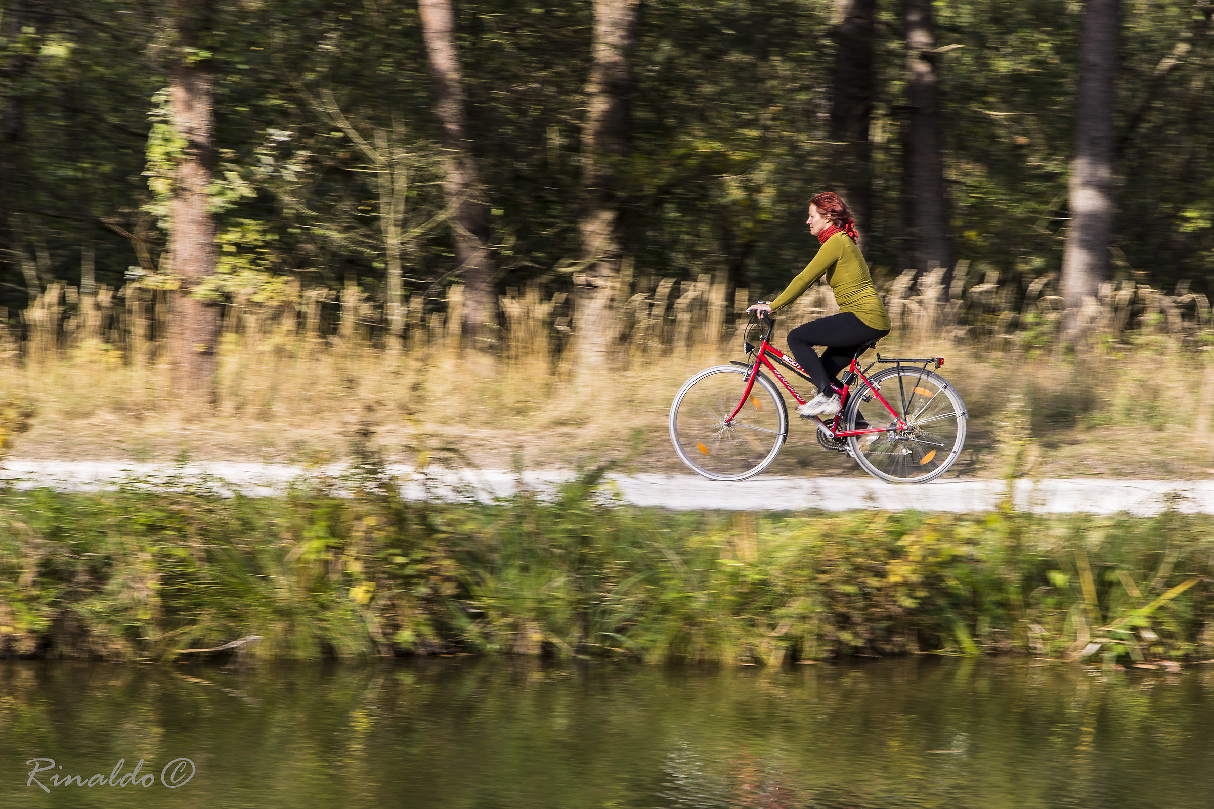 Cycling along the canal