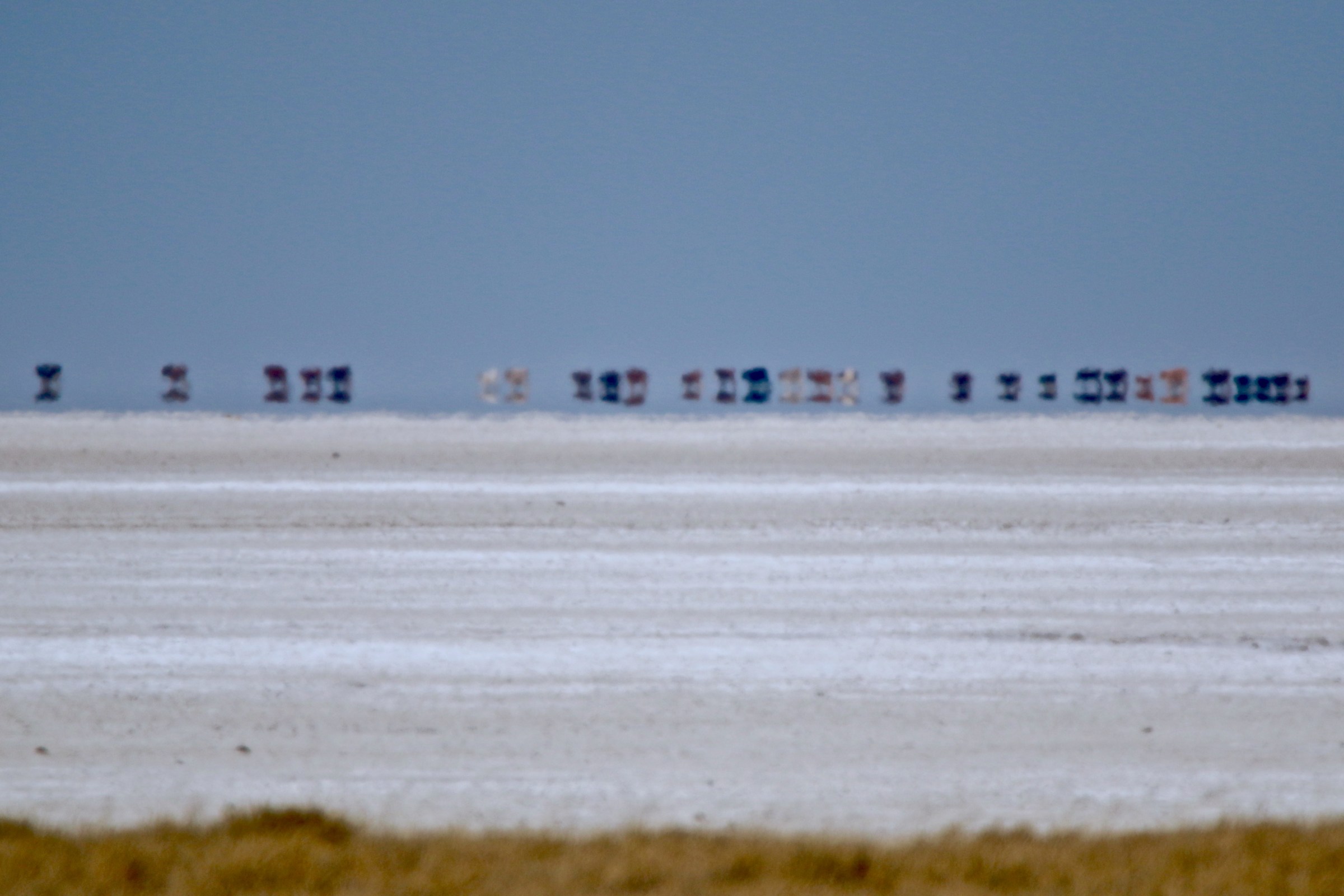Makgadikgadi pan with herd horizon