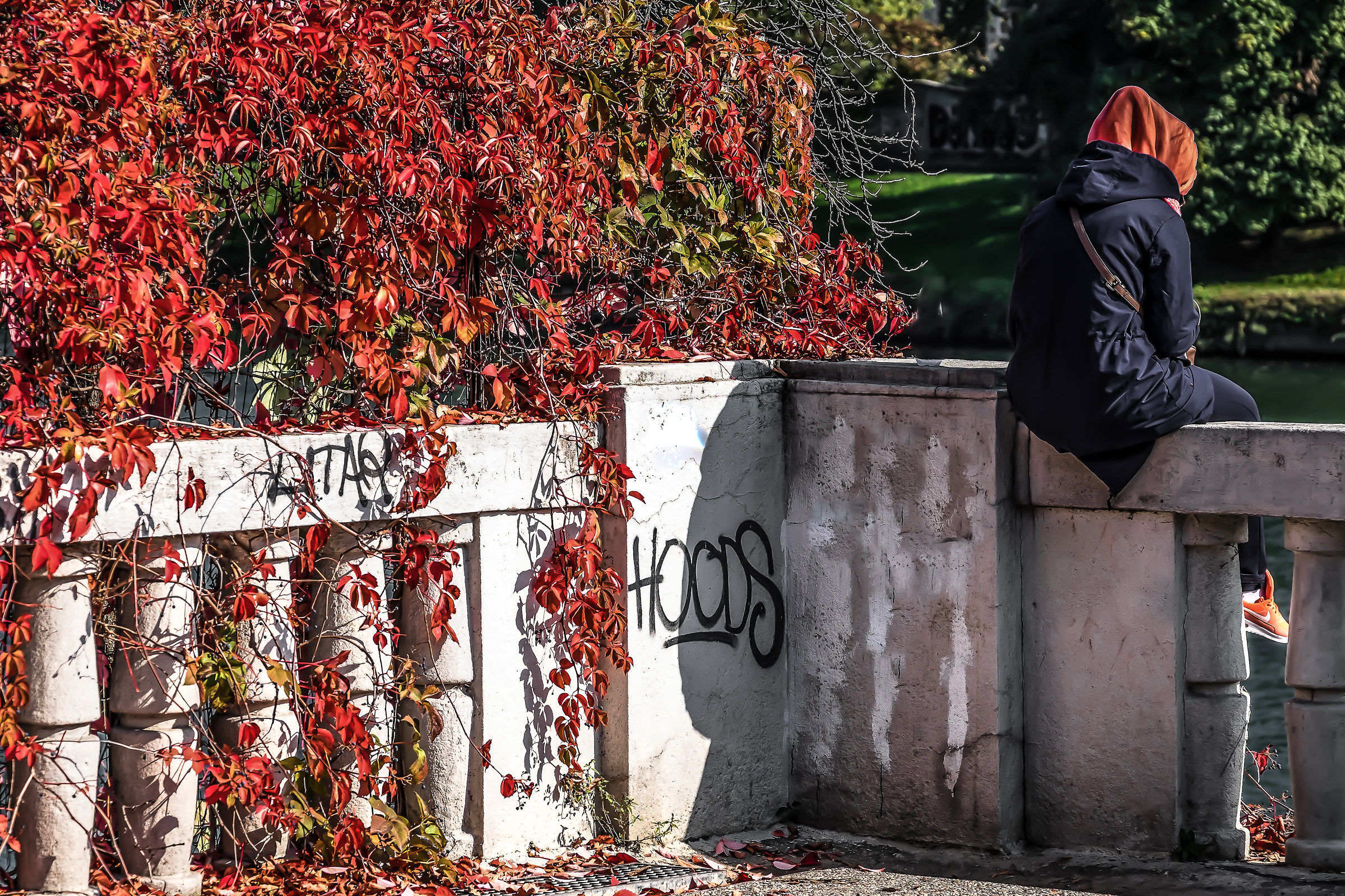 dominante rossa............................