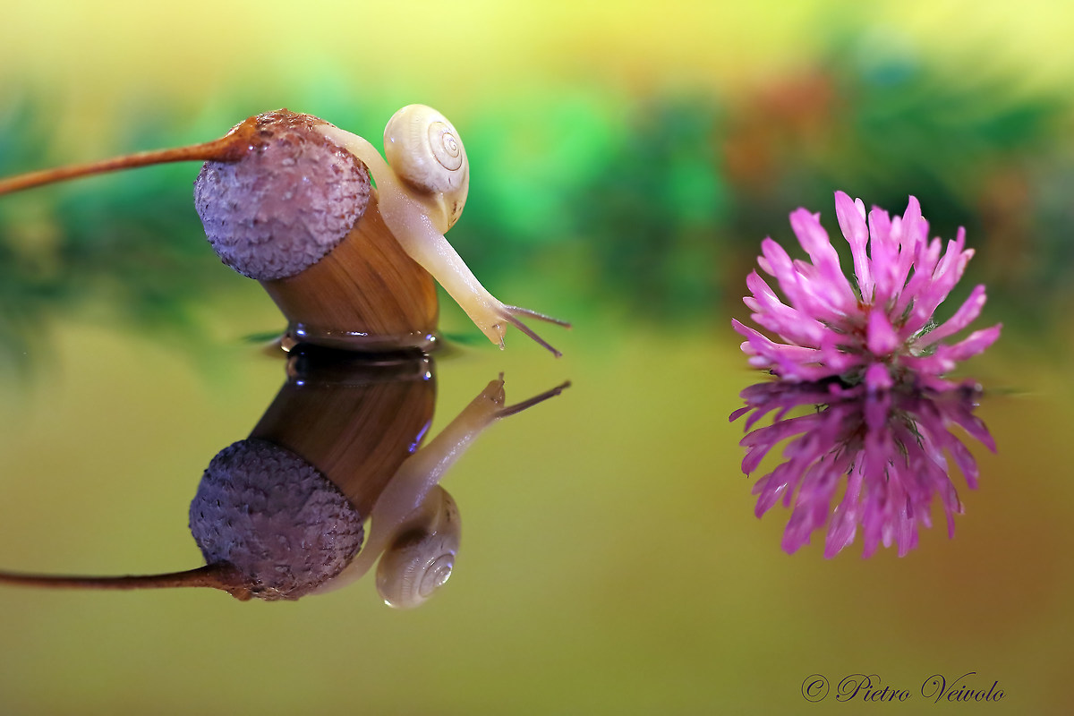 Why are you following me?