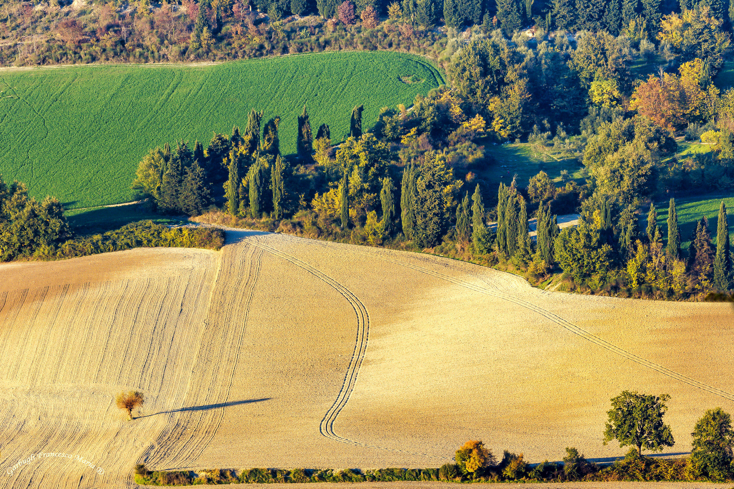 Fields on the slopes of Cesane of Urbino