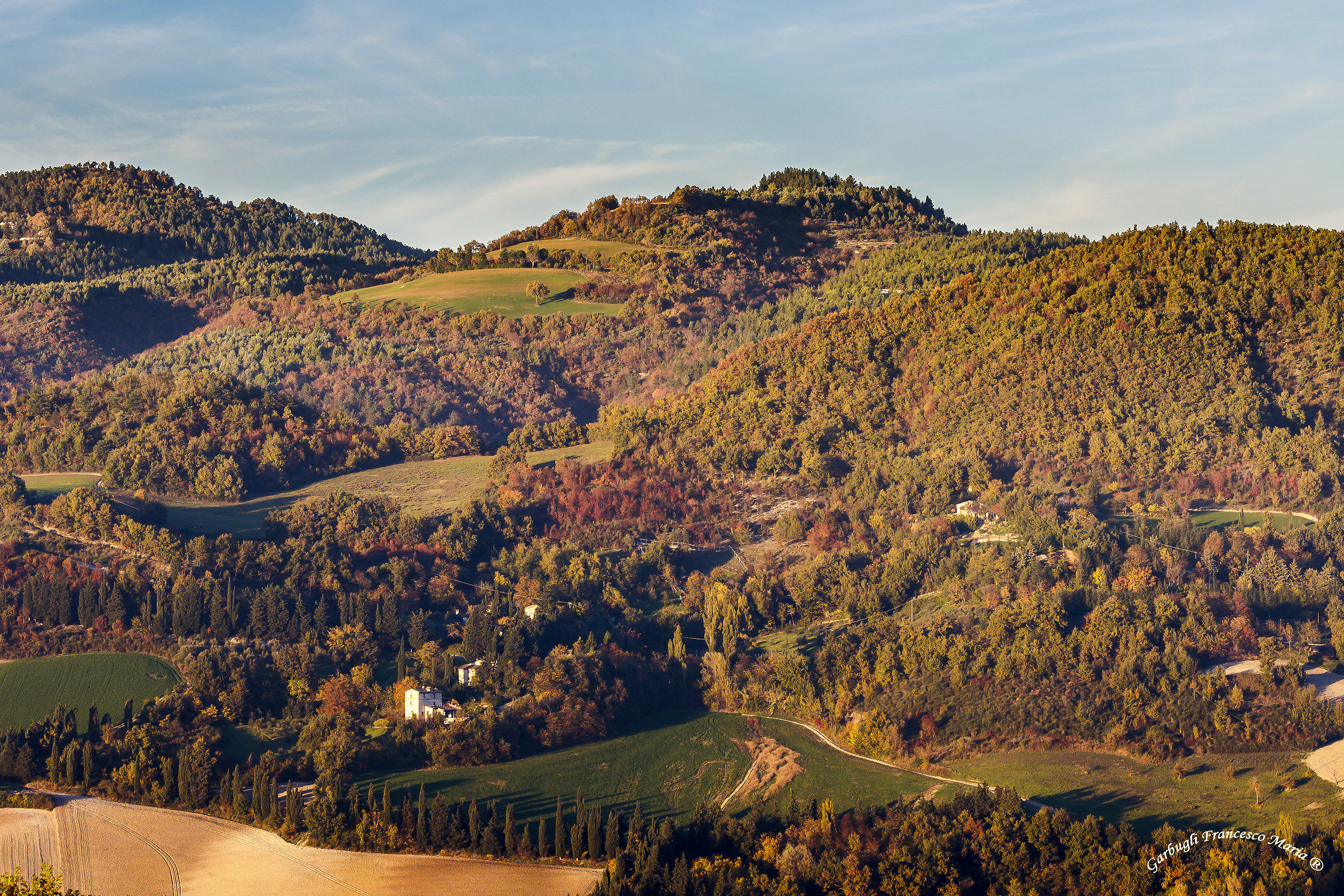 The Cesane Canavaccio of Urbino
