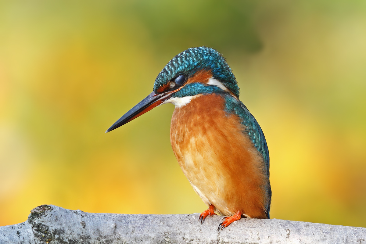 Martina pronta alla pesca