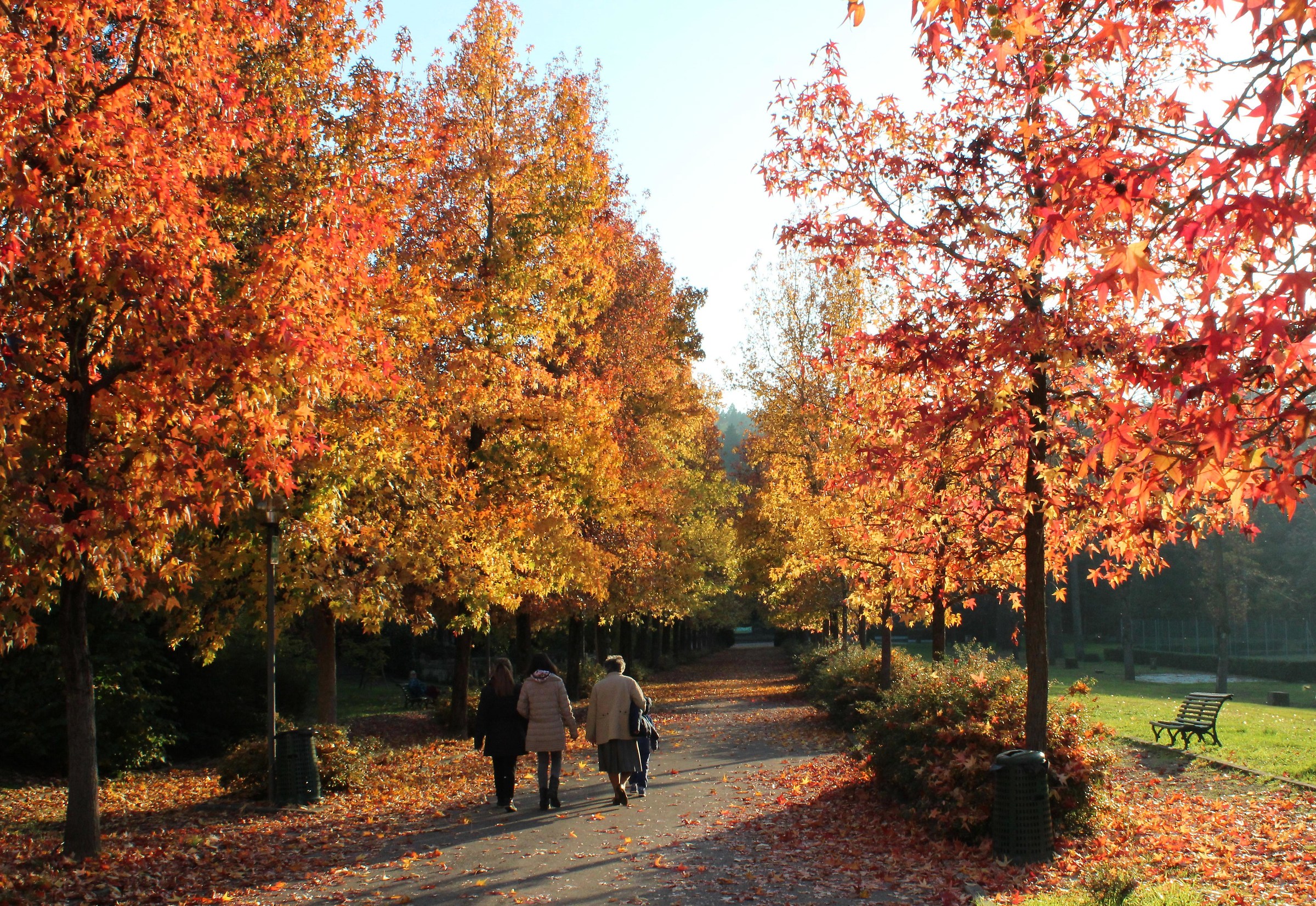 Autumn in Fratta Terme (fc)