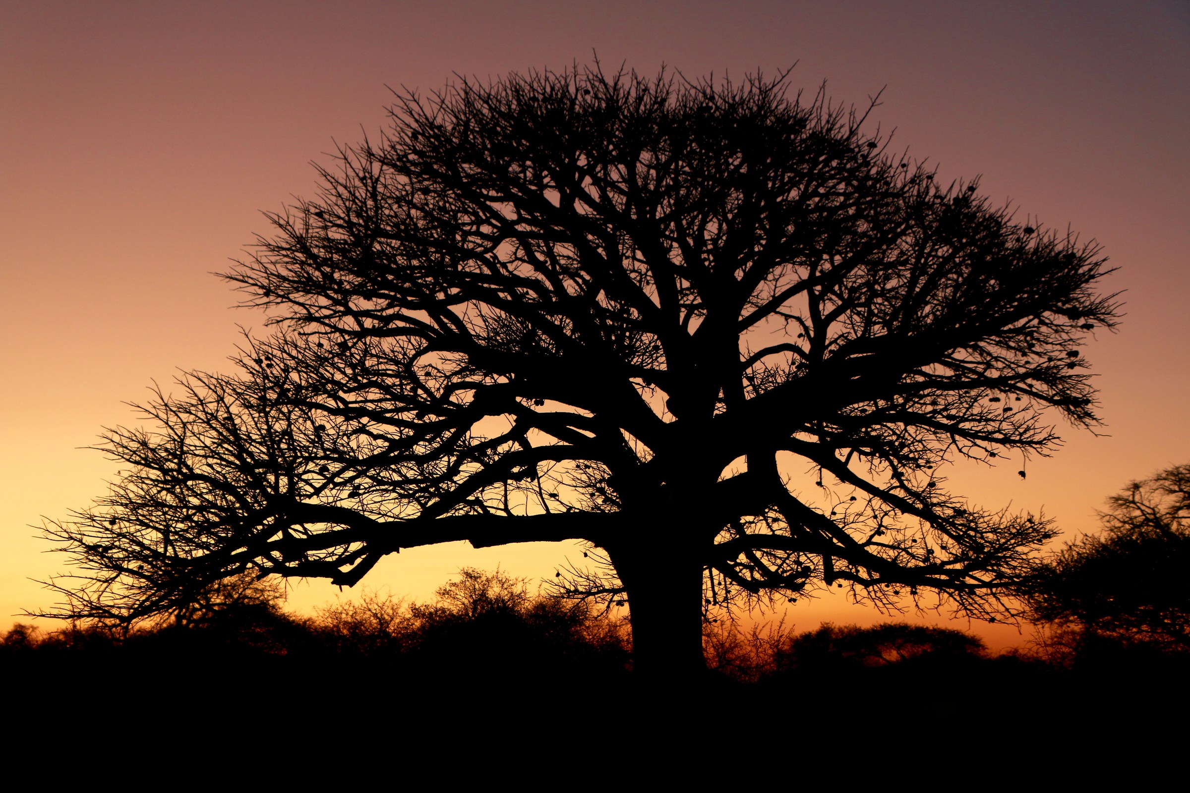 Kabul Island - sunset
