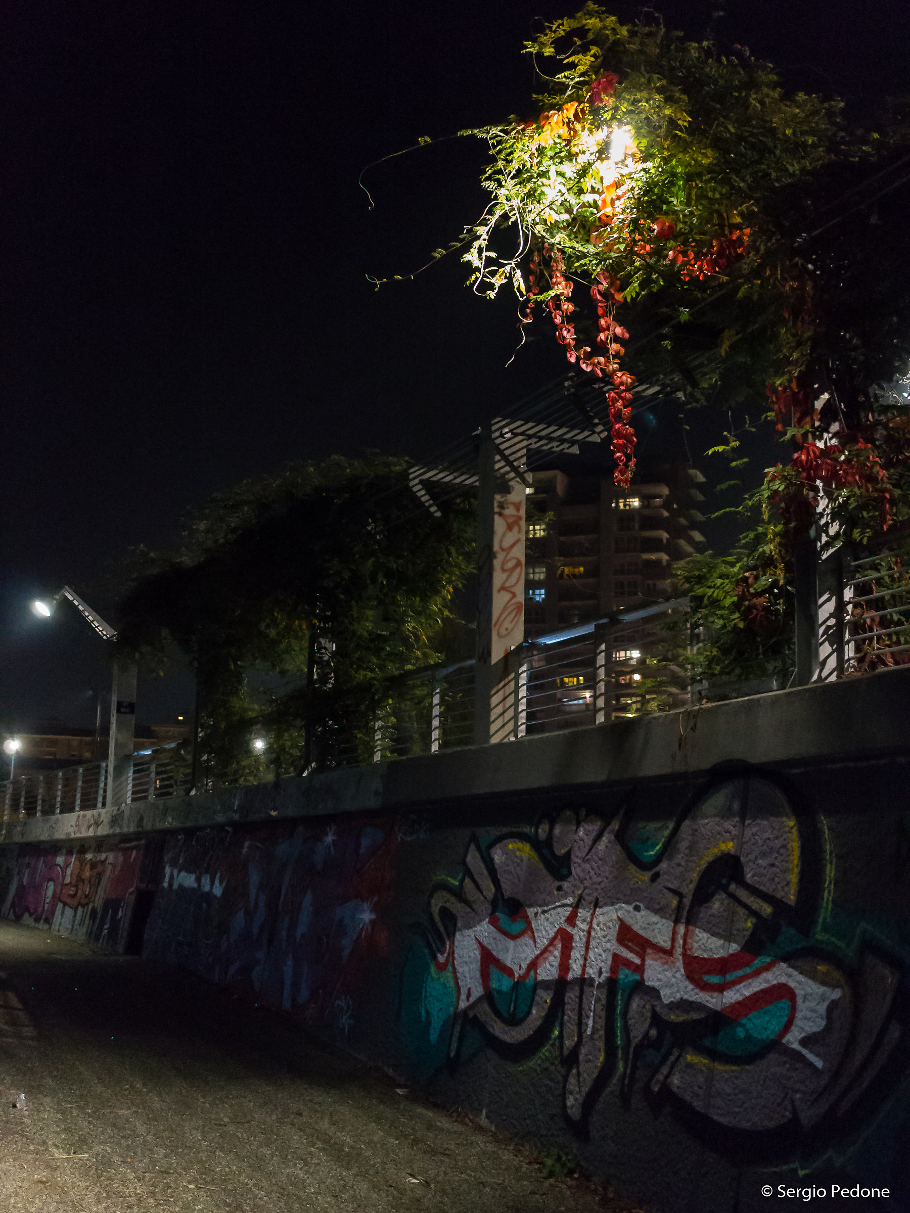 Autumn night in the park.