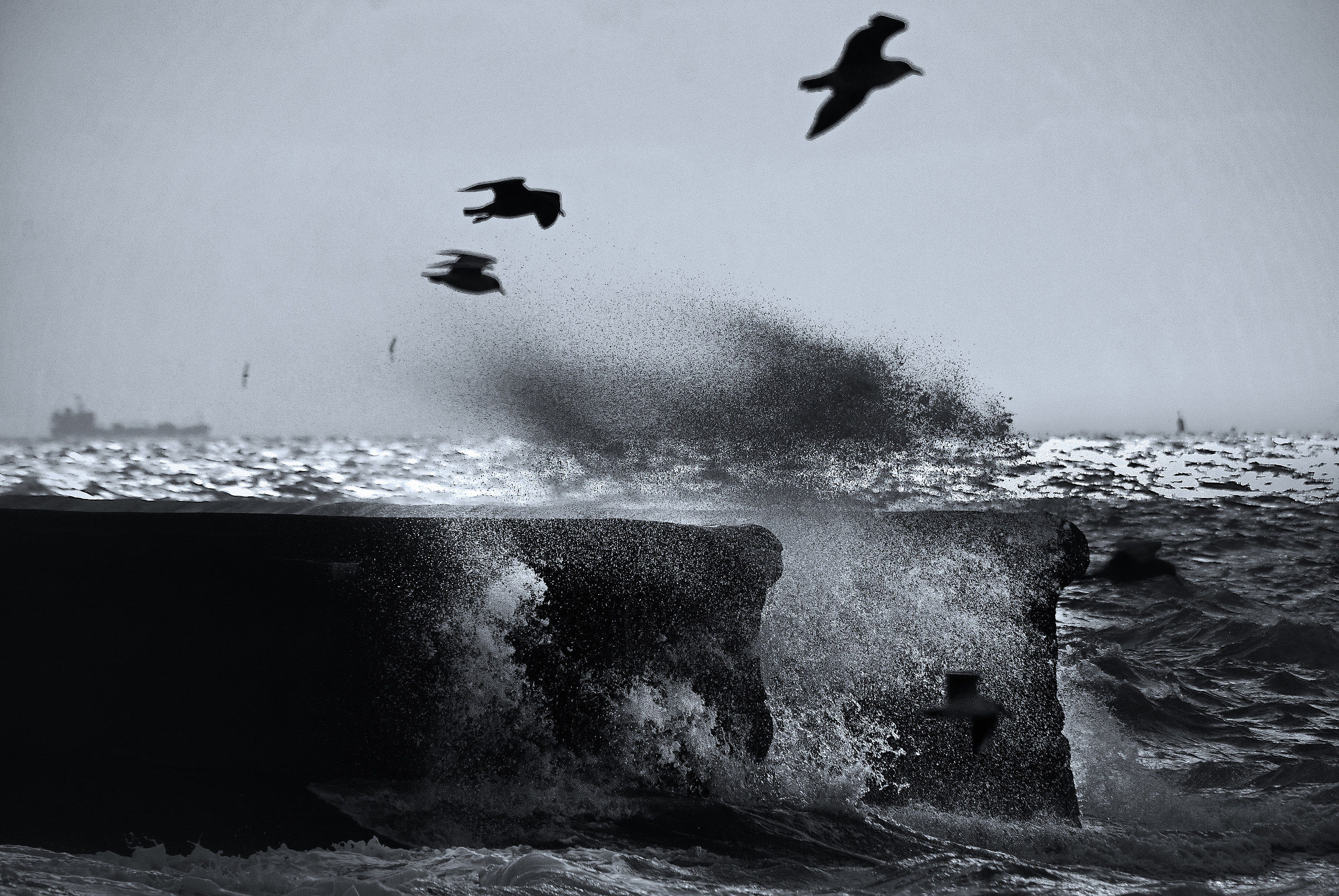 Bella giornata al mare, caro?