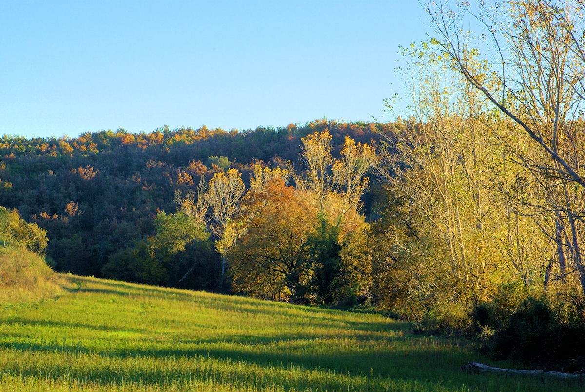 I colori dell'autunno