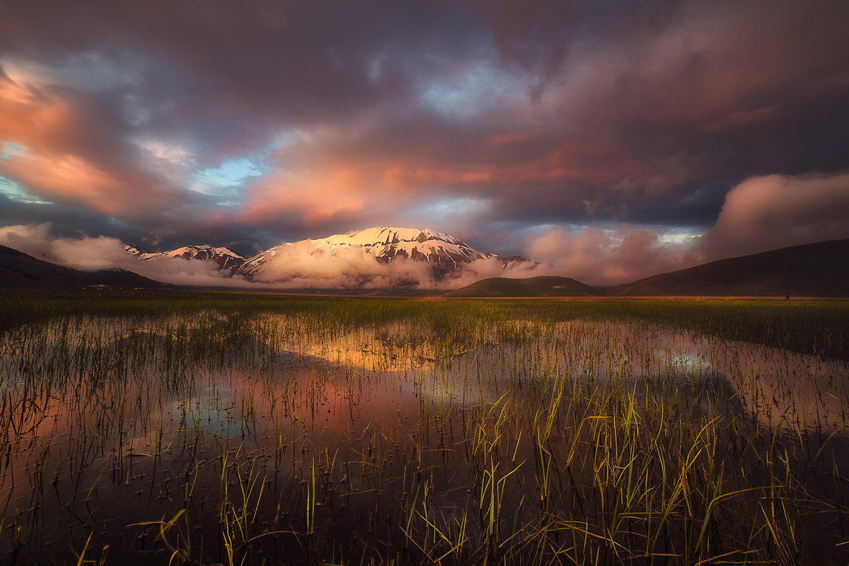 La bellezza della natura