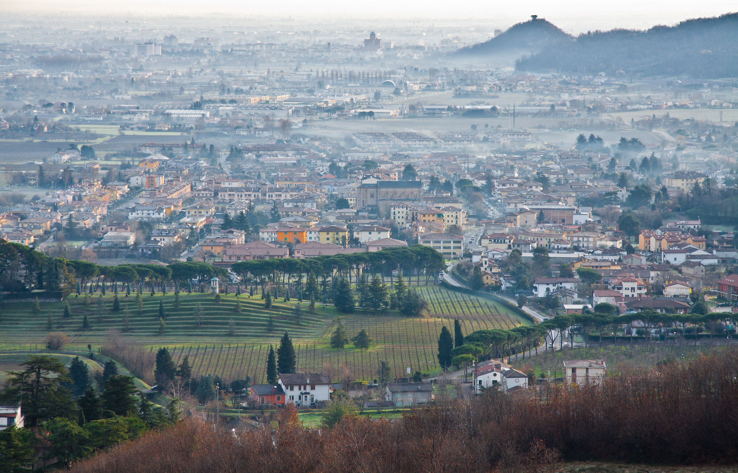 Torreglia...dove vivo e lavoro