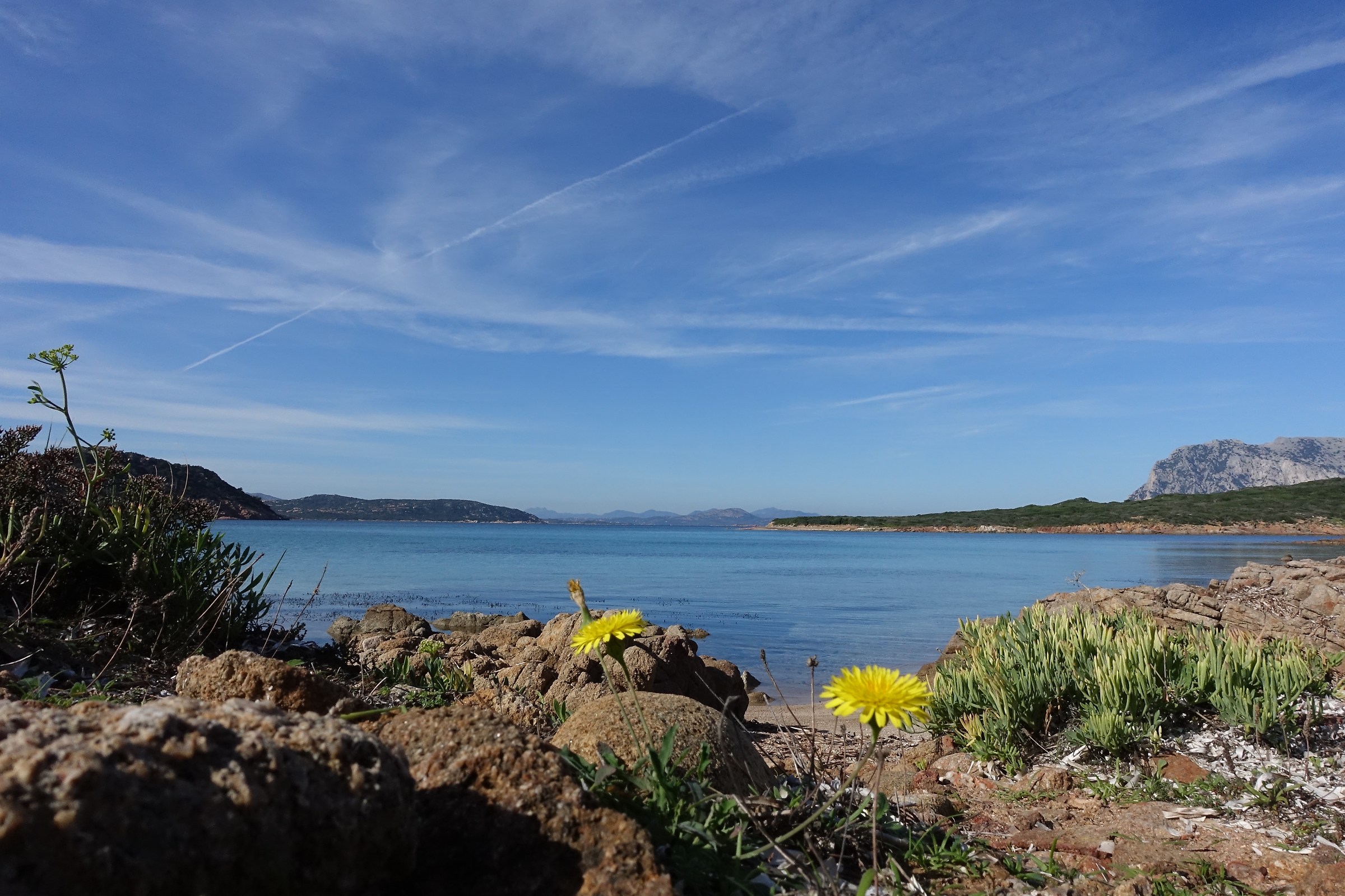 November to Coda Cavallo