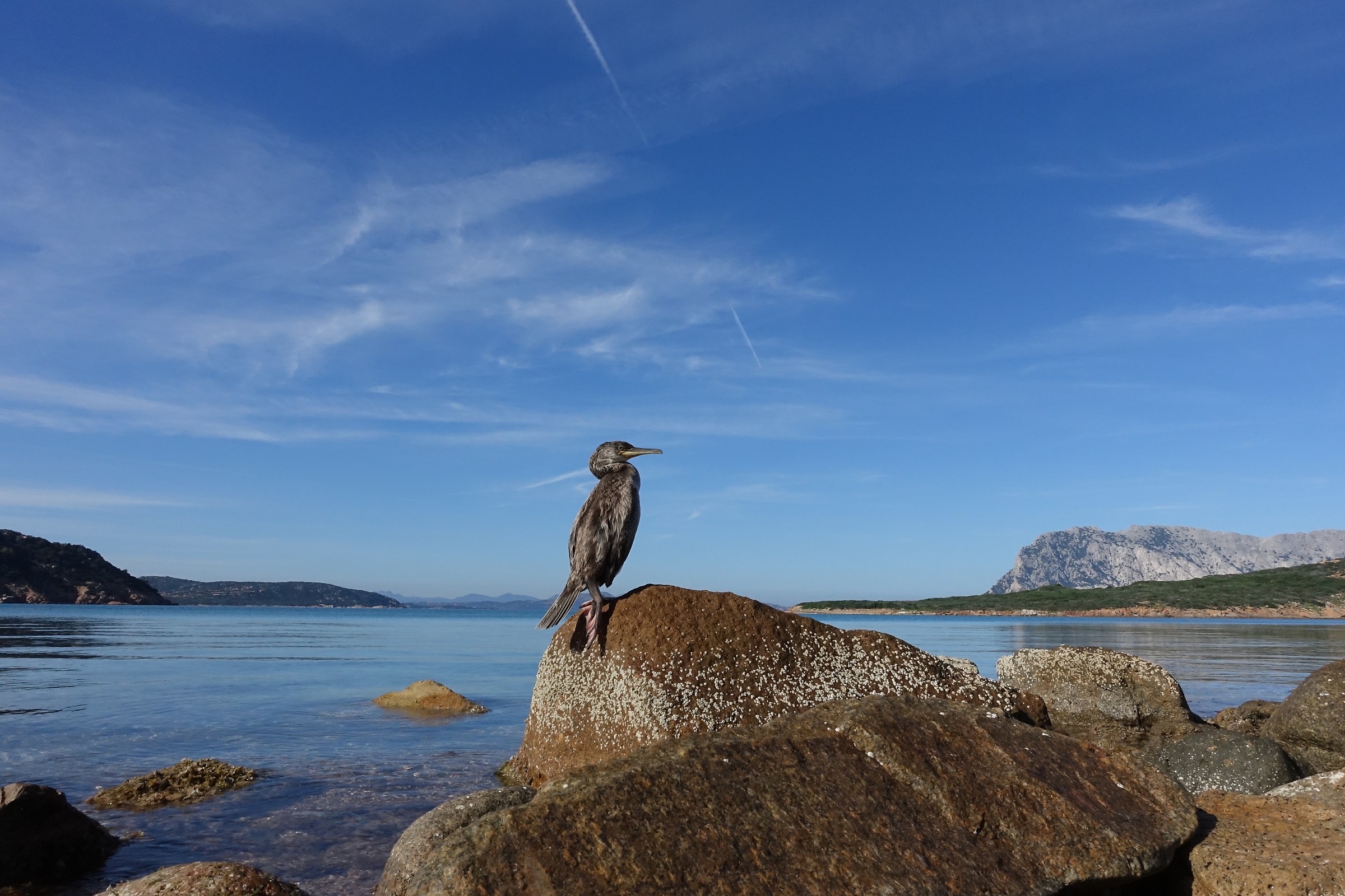 novembre a Coda Cavallo 2