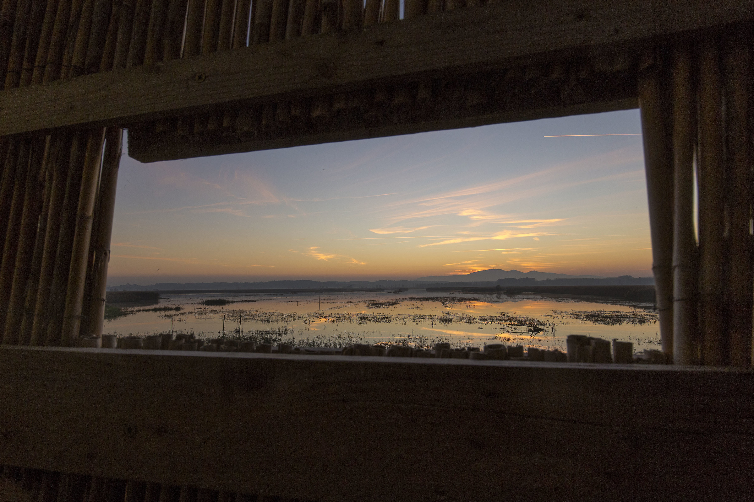 A Window on the World