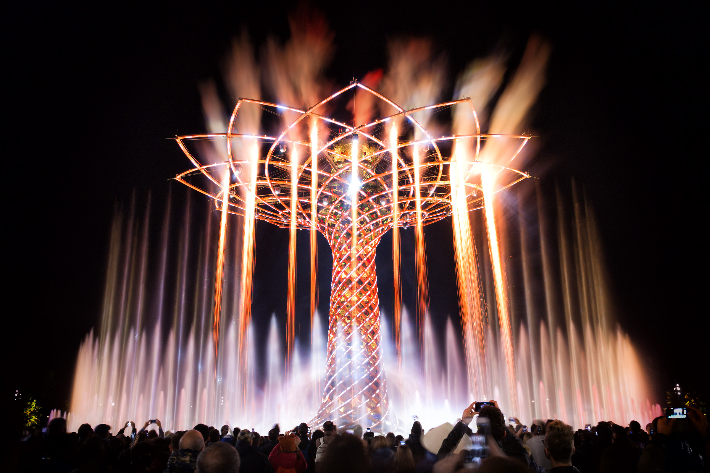 Albero della vita - expo 2015 Milano