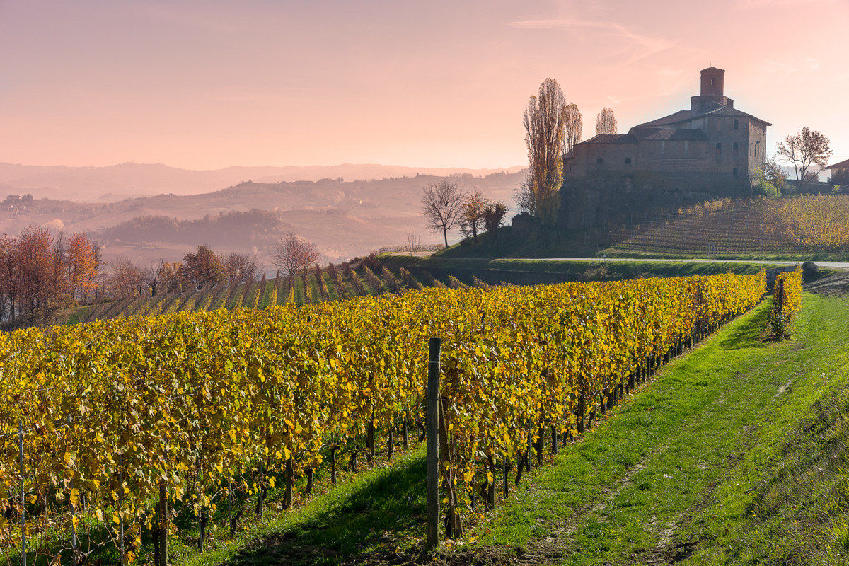 Langhe landscape