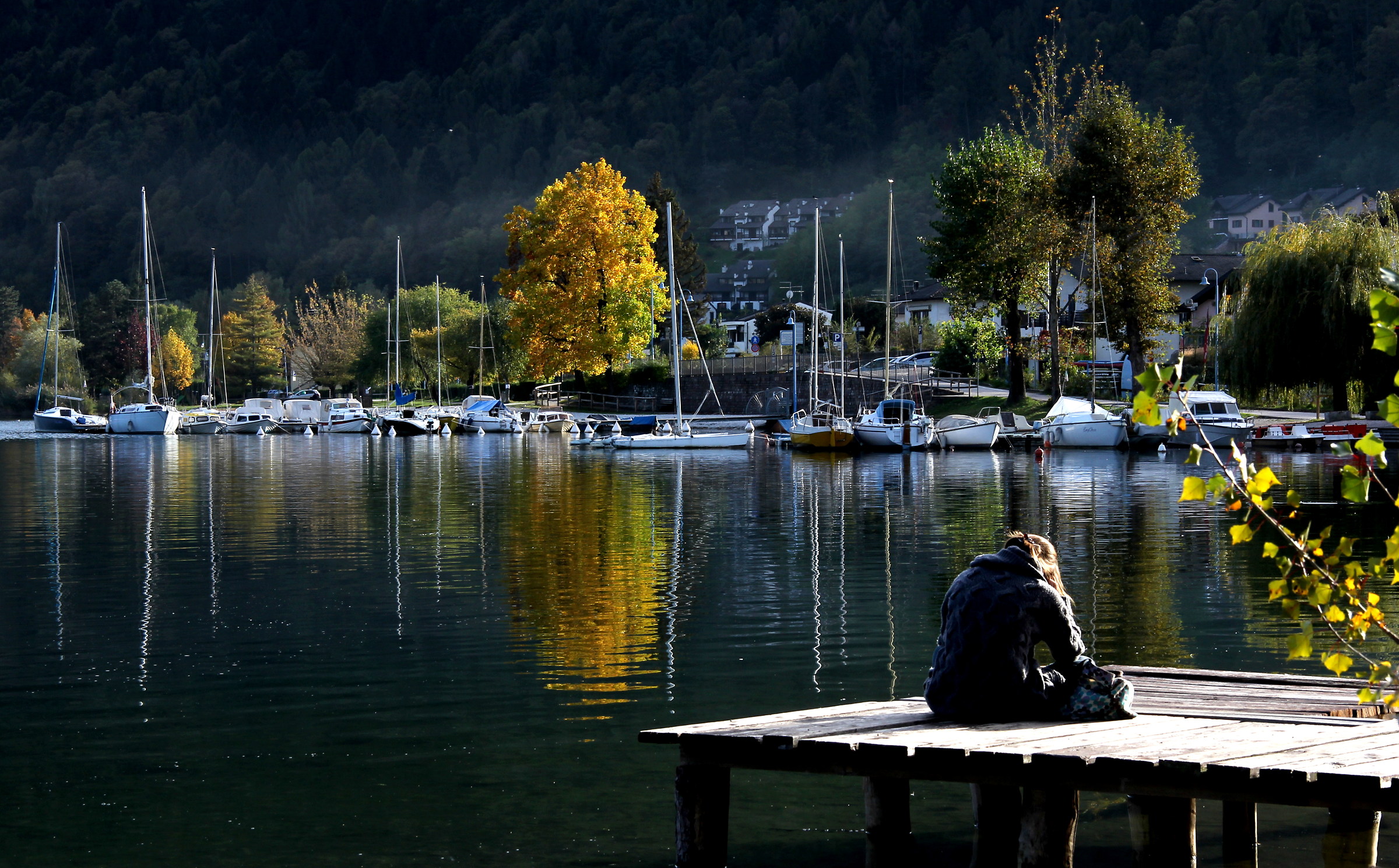It absorbed in reading the warm autumn