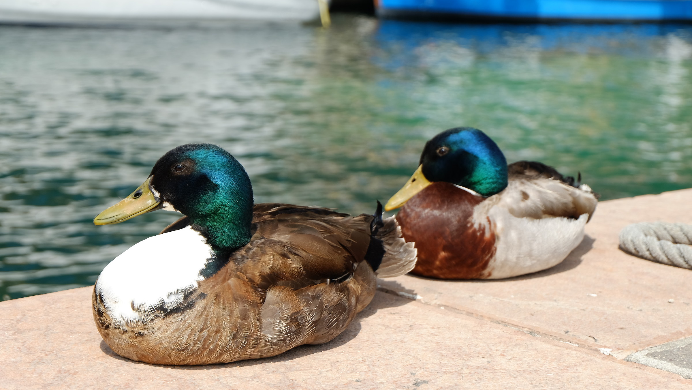 wonderful reflection