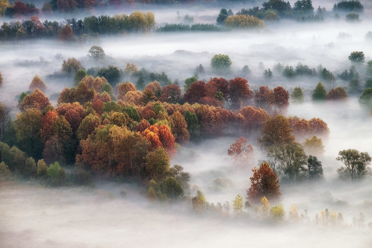 A bit 'of color through the fog