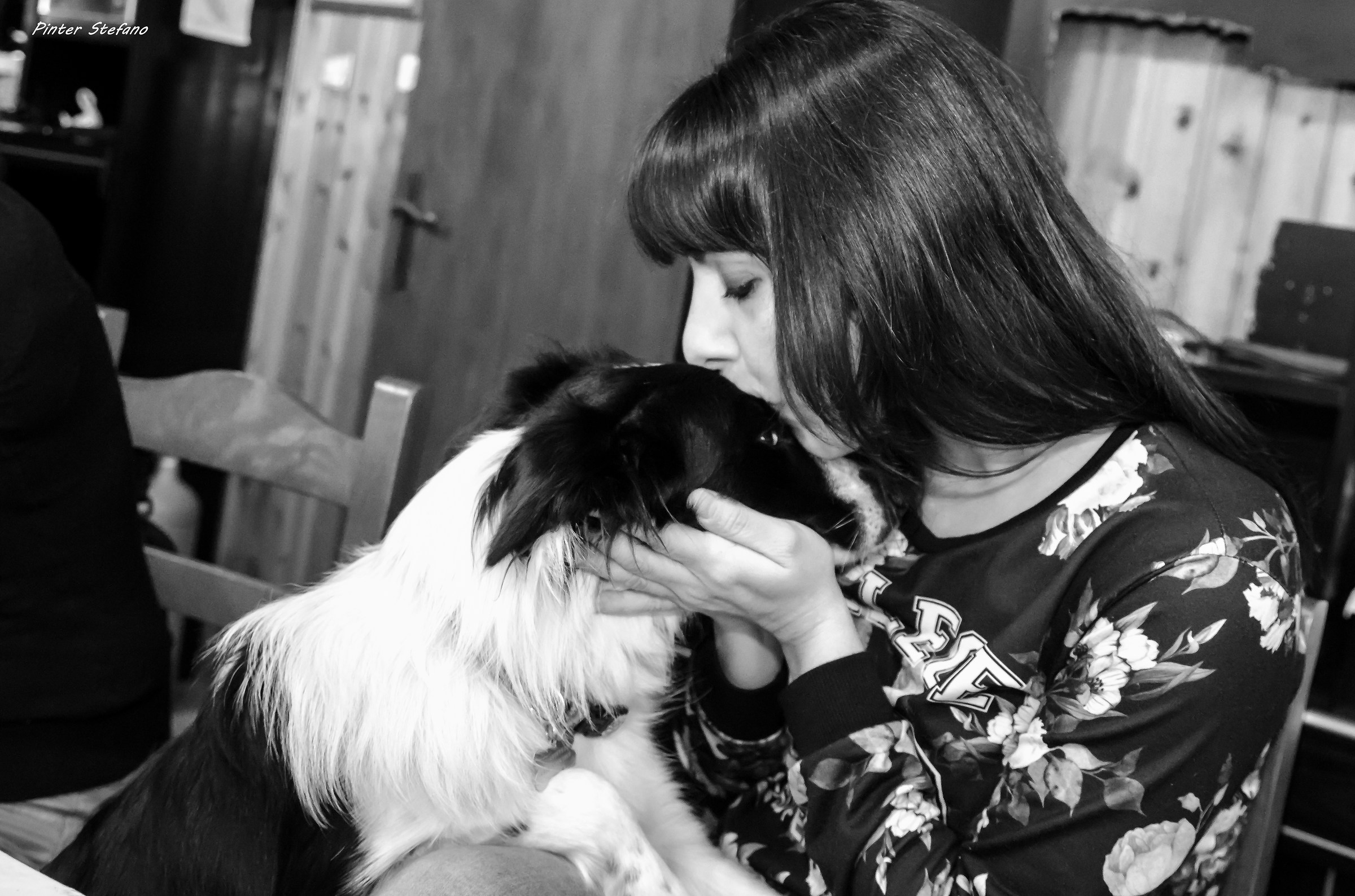 The best friend of man