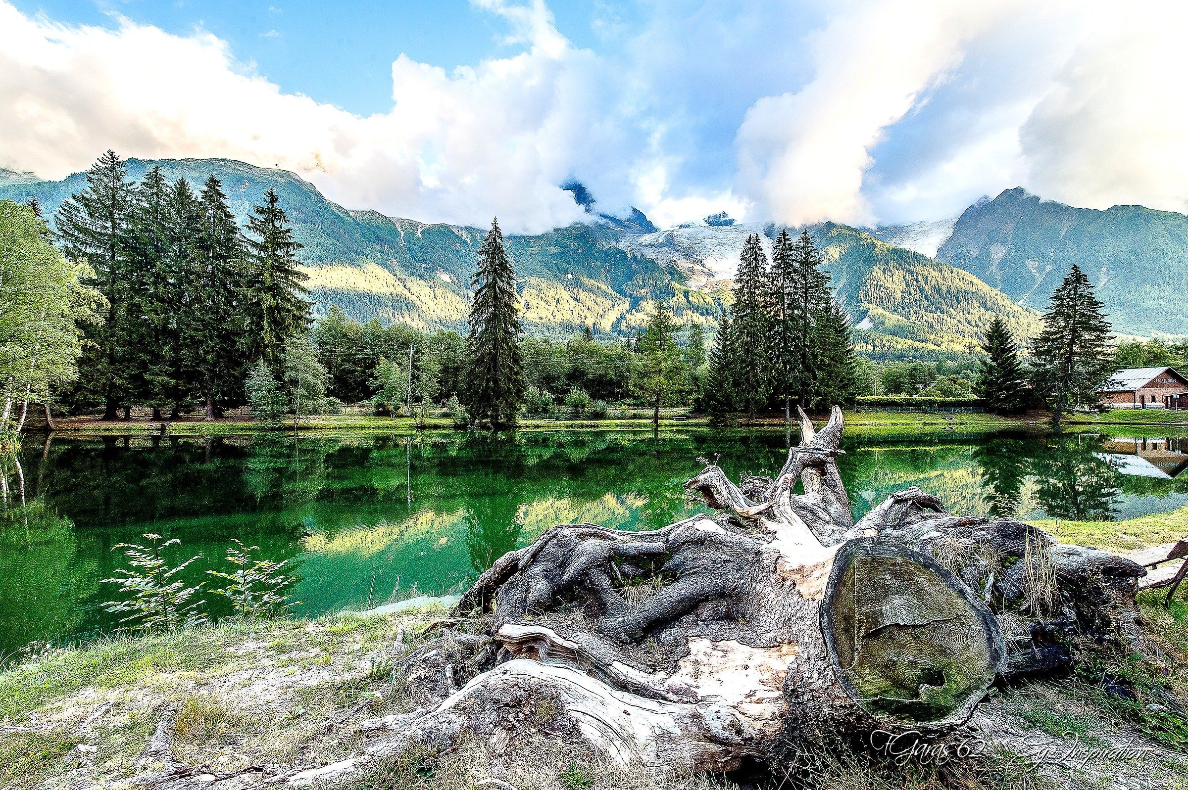 lac des Bossons ghiacciai