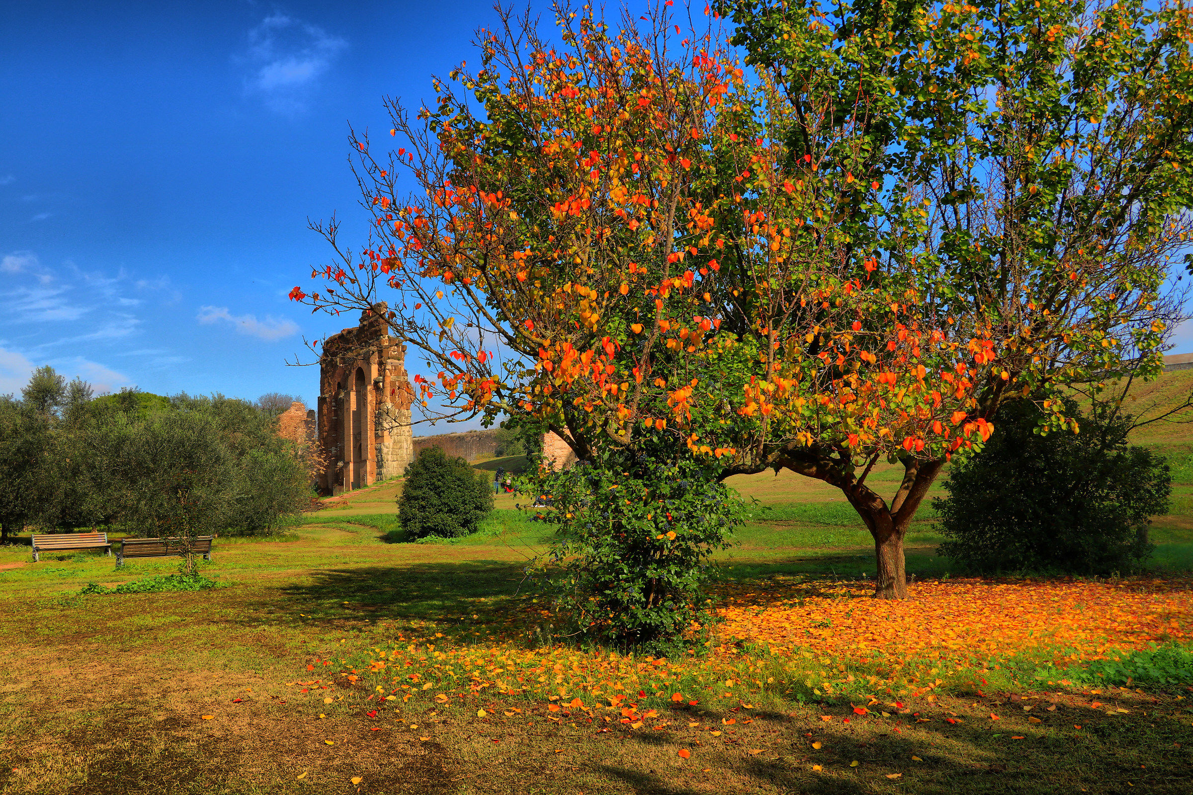 Parco degli Acquedotti -  Via di Torre Branca