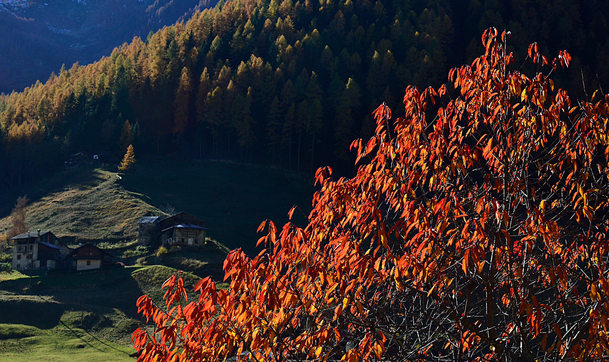 L'ultima esplosione di colore, poi il vento...