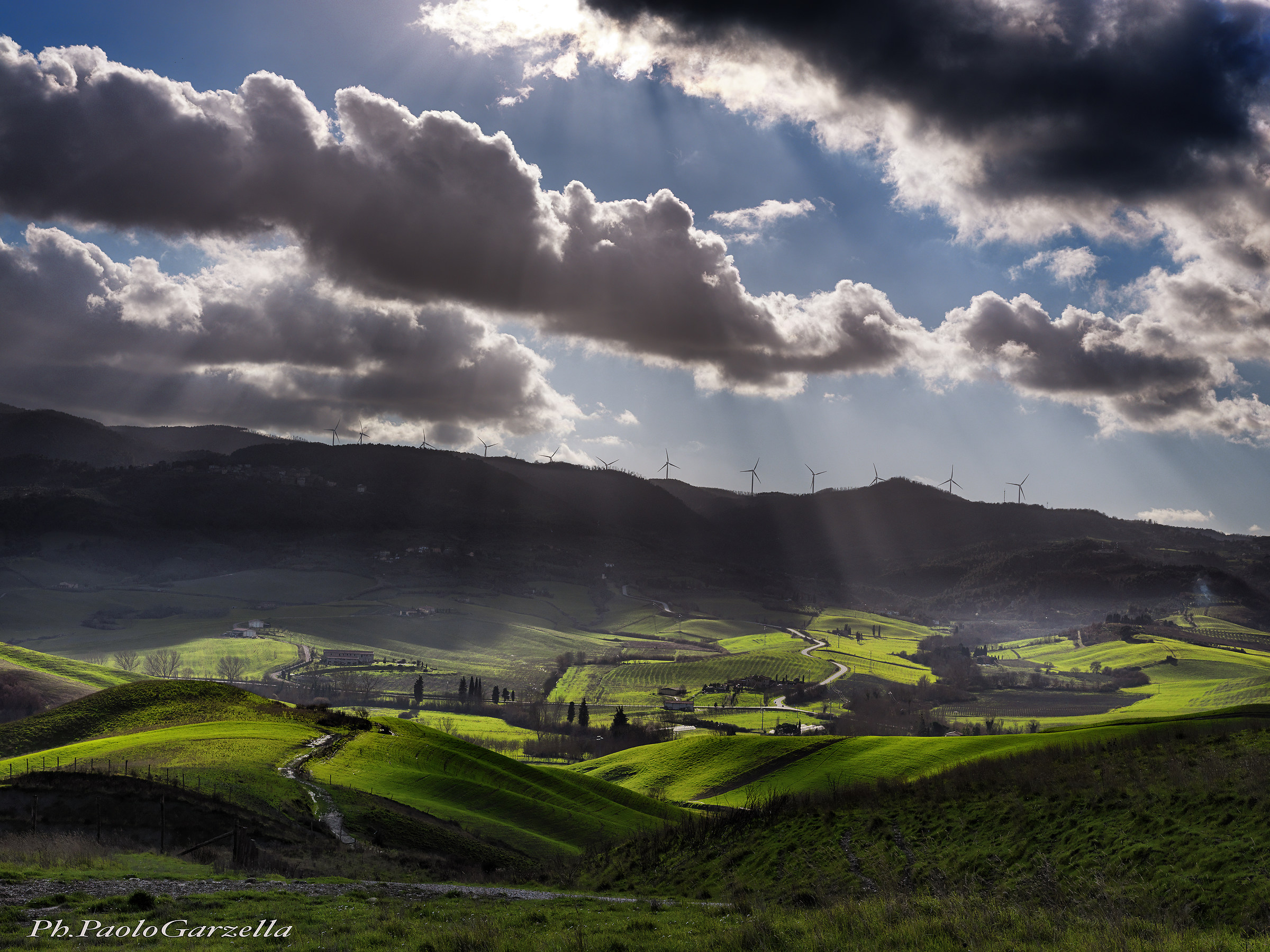 Terricciola-Tuscany (Pisa)