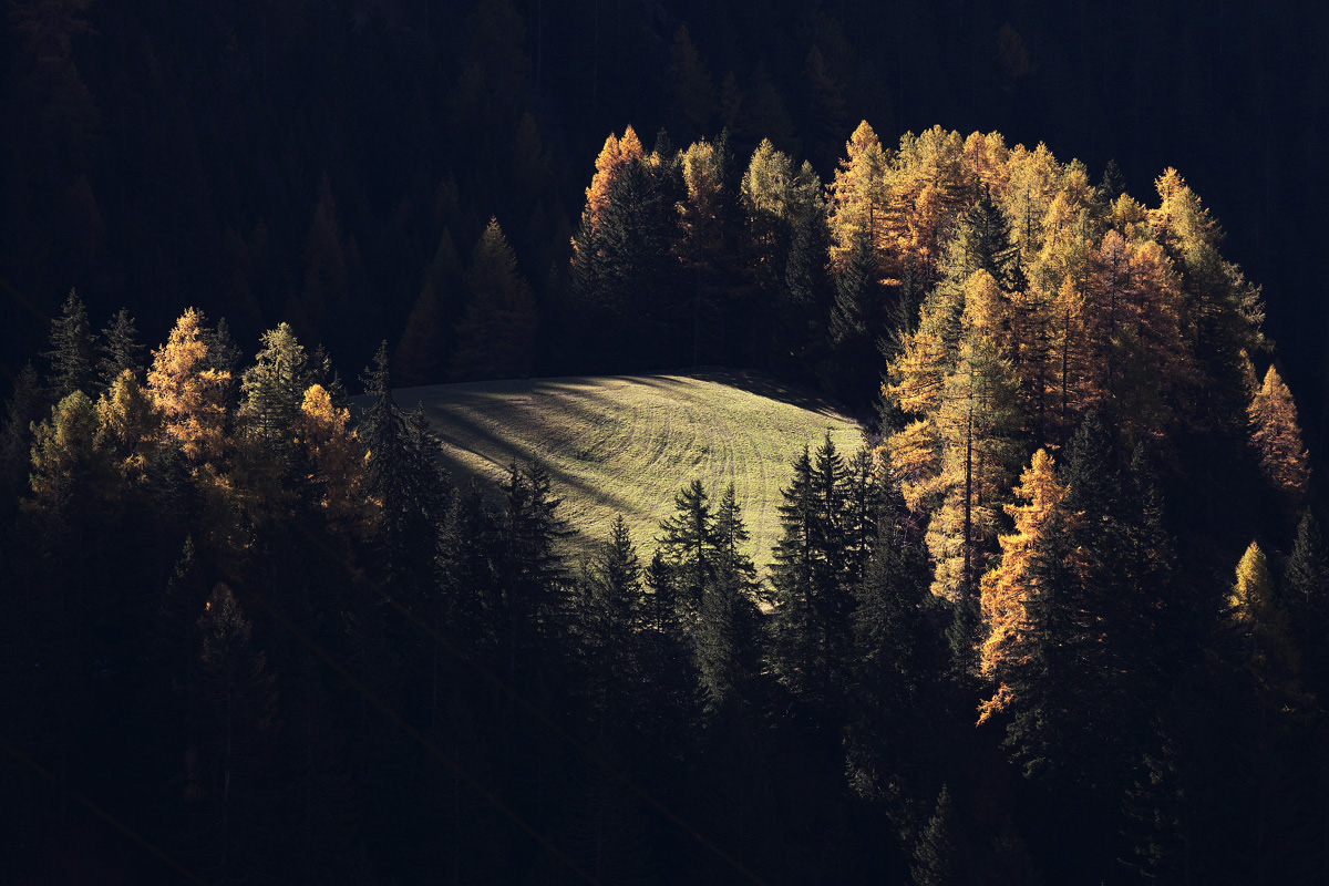 Quando il sole accende i colori...